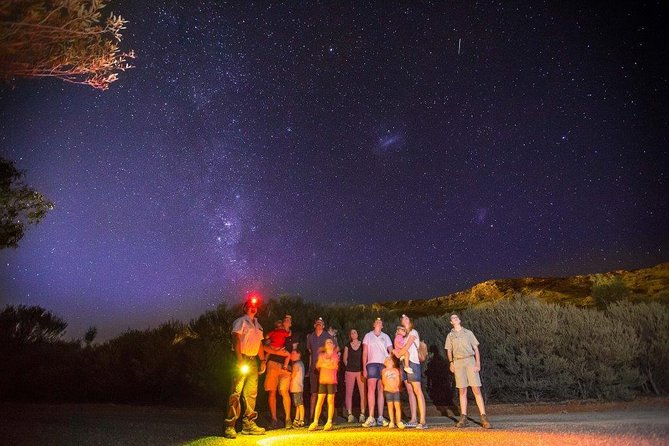 Alice Springs Desert Park Nocturnal Tour Australia Activities In