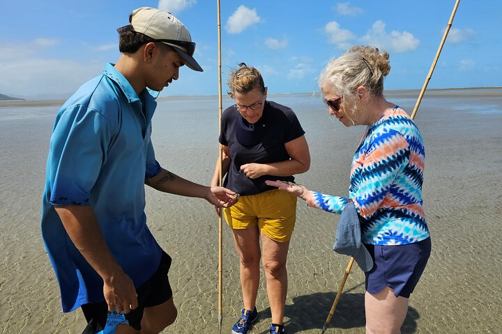 Daintree Rainforest Mossman Gorge And Aboriginal Beach Day Tour