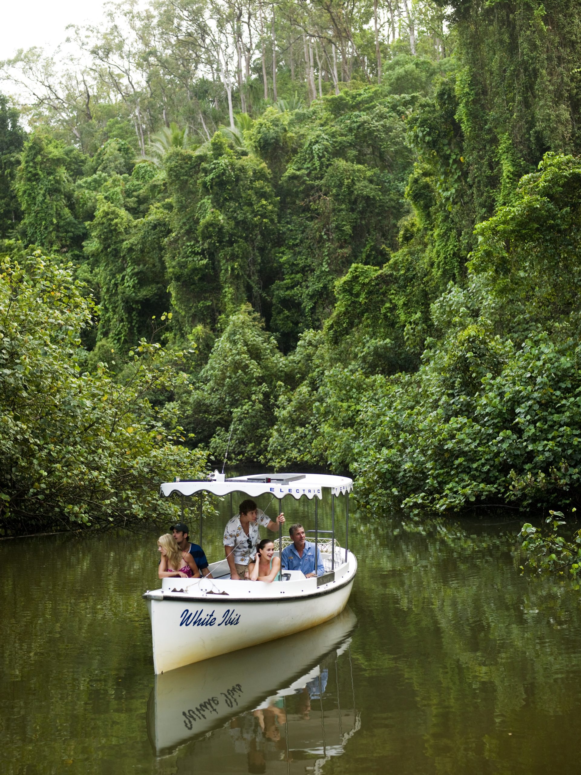 Daintree River Electric Boat Cruises