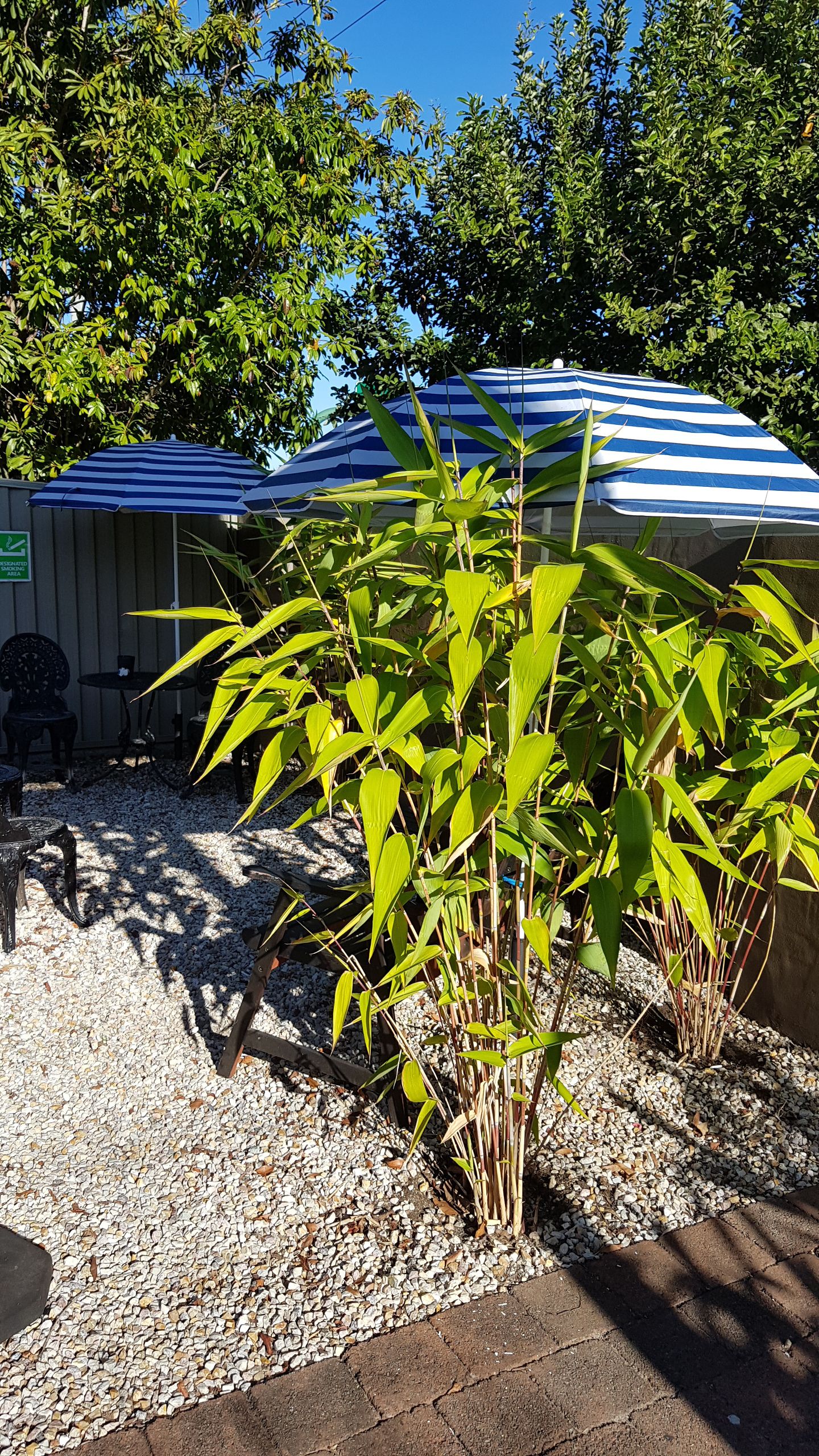 Gold Coast Airport Motel