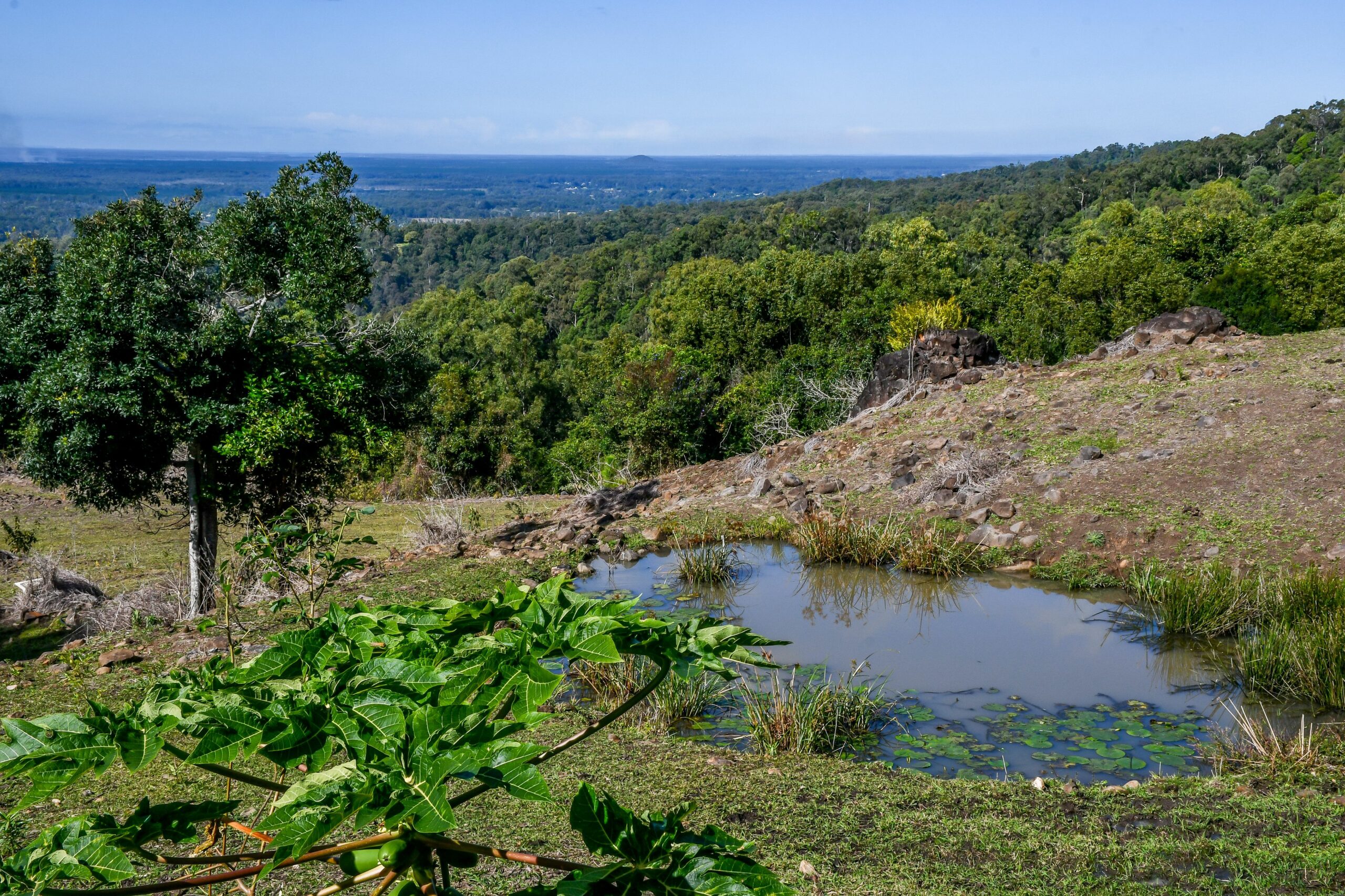 Maleny Coastal Views Retreat