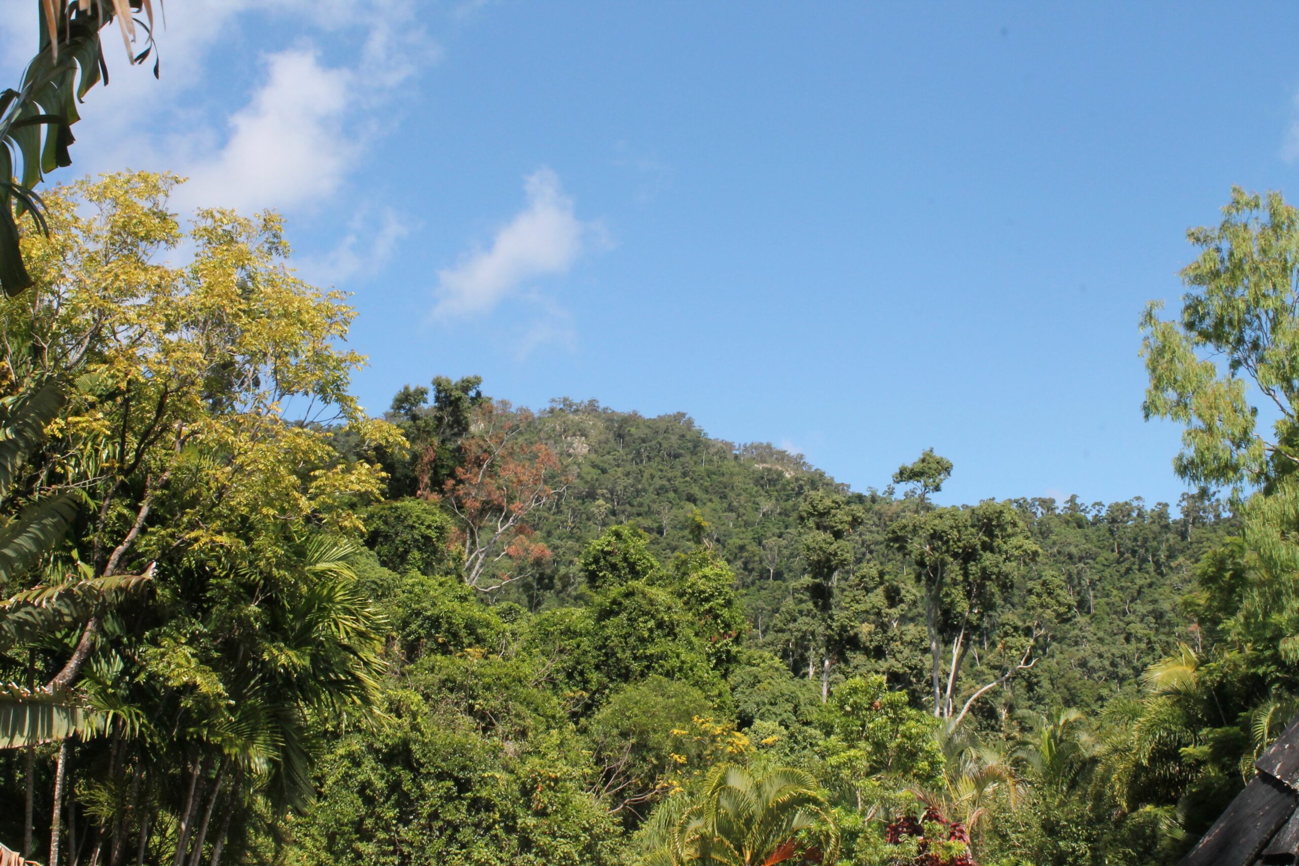 Whitsundays Rainforest Retreat