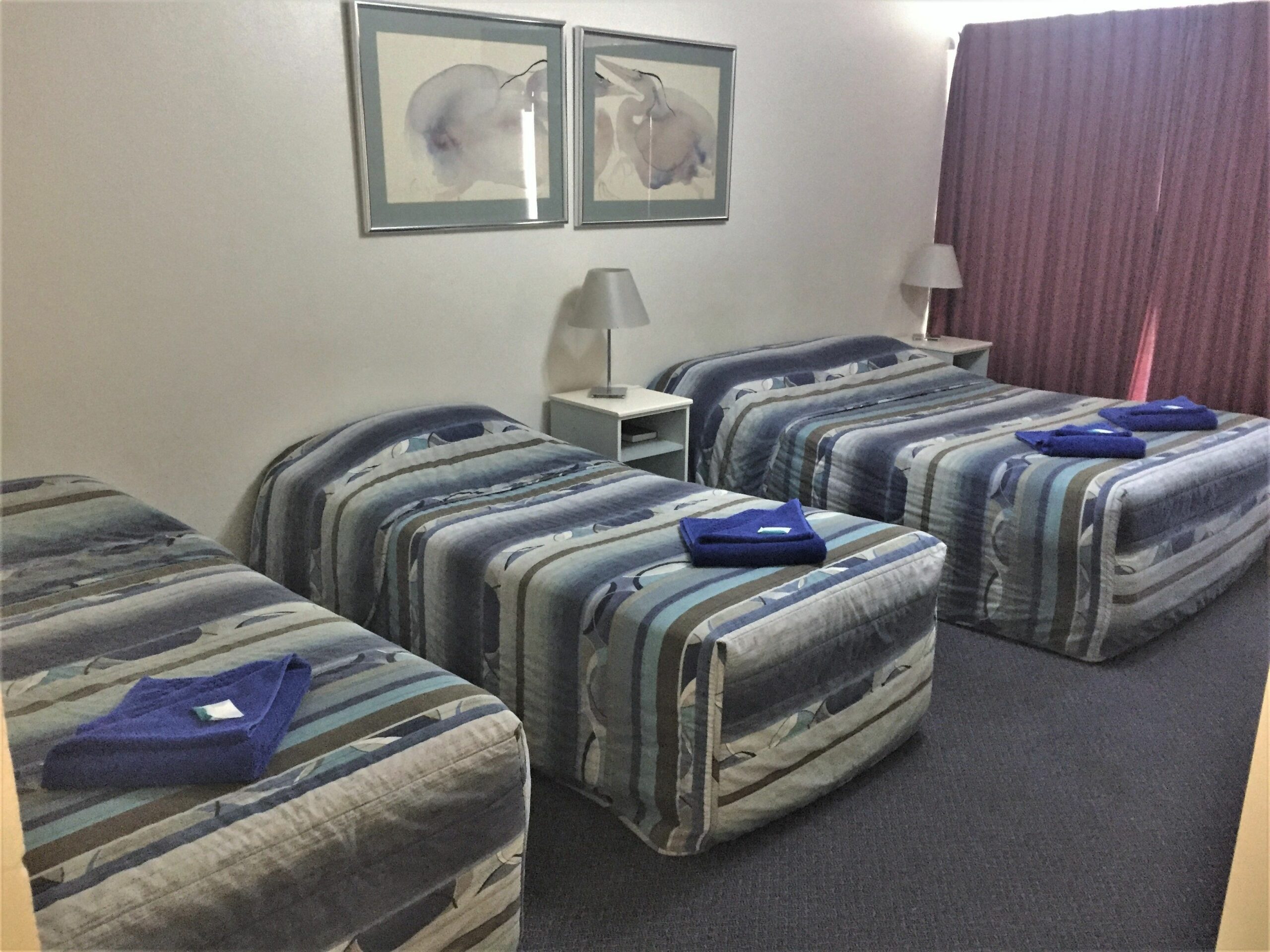 Ceduna Motor Inn