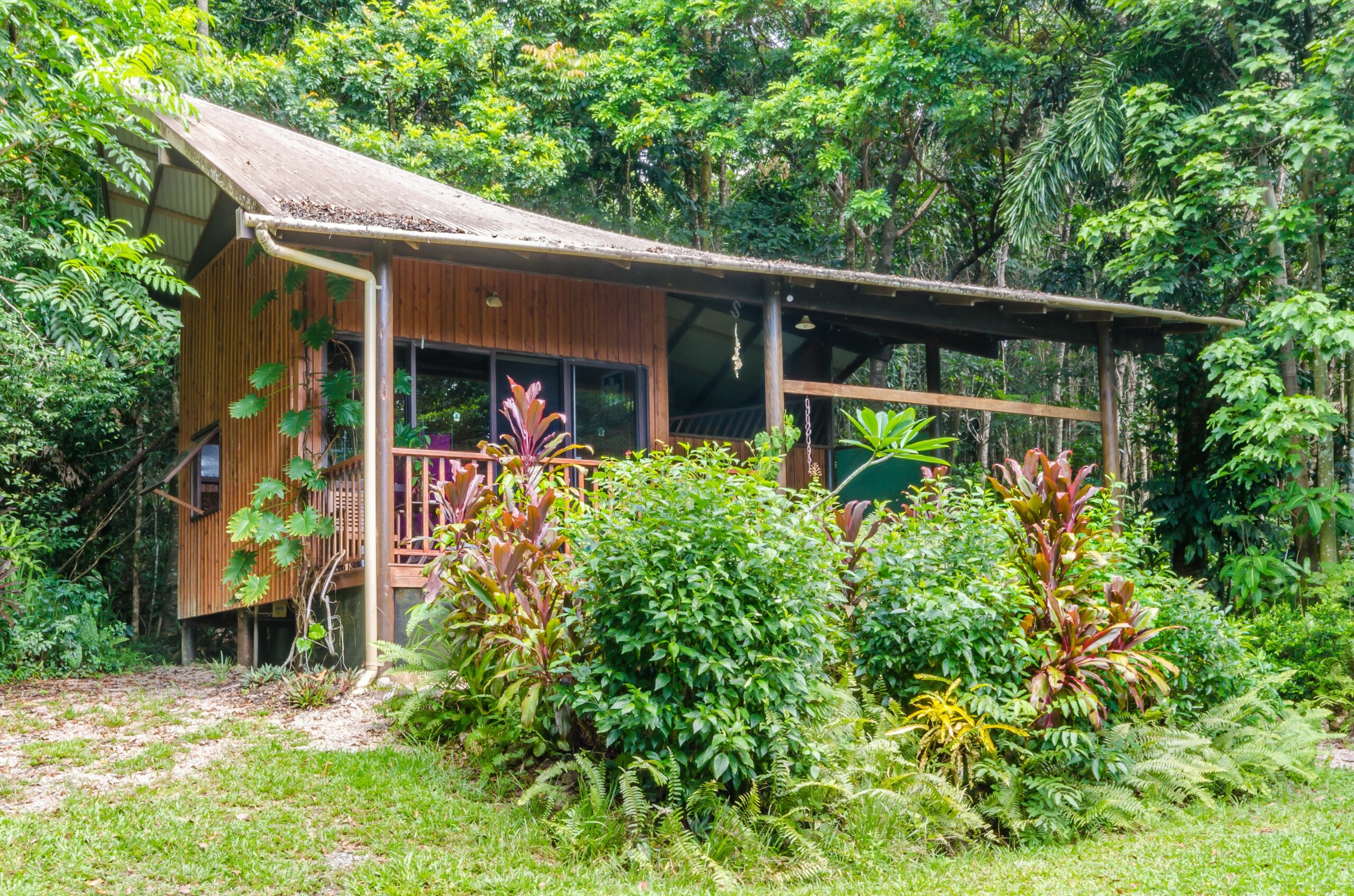 The Epiphyte Bed & Breakfast