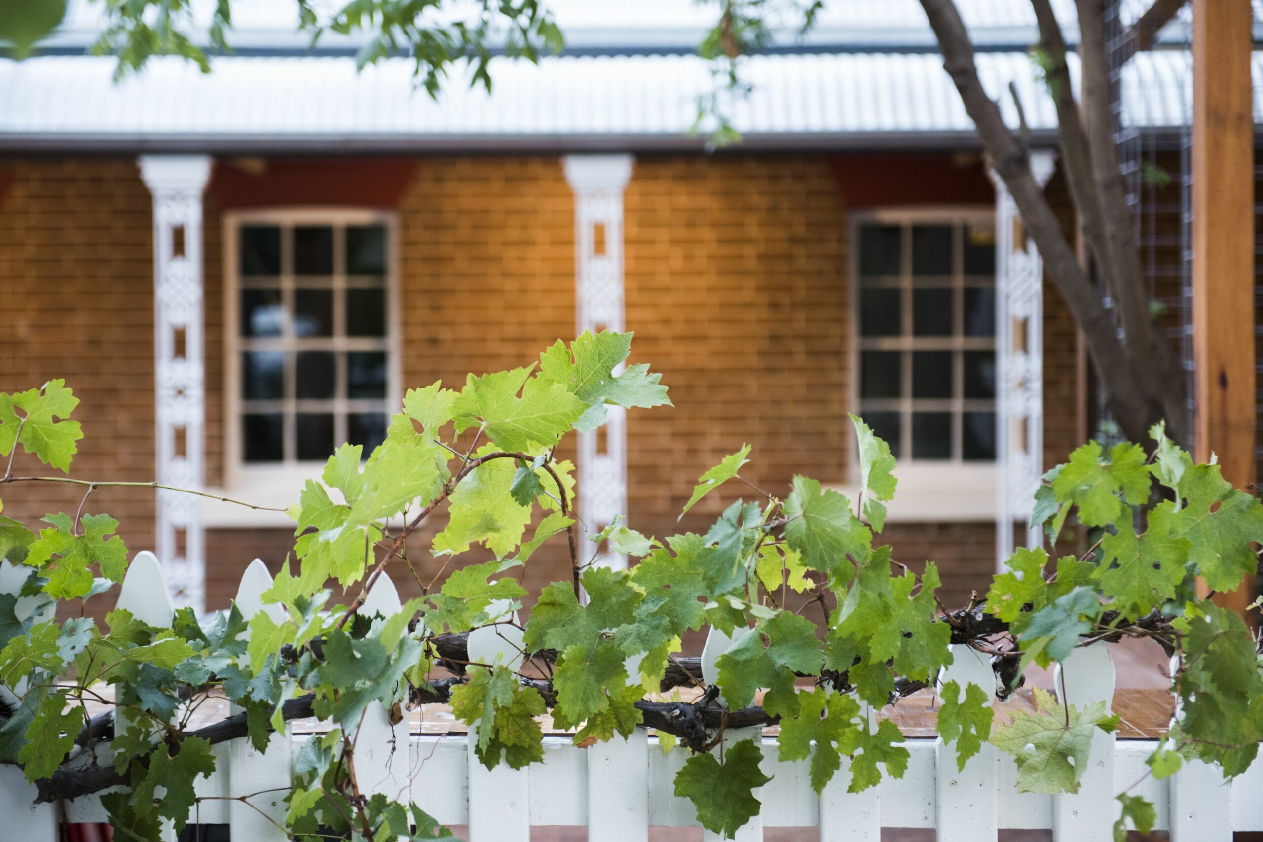 The Parkview Hotel Mudgee