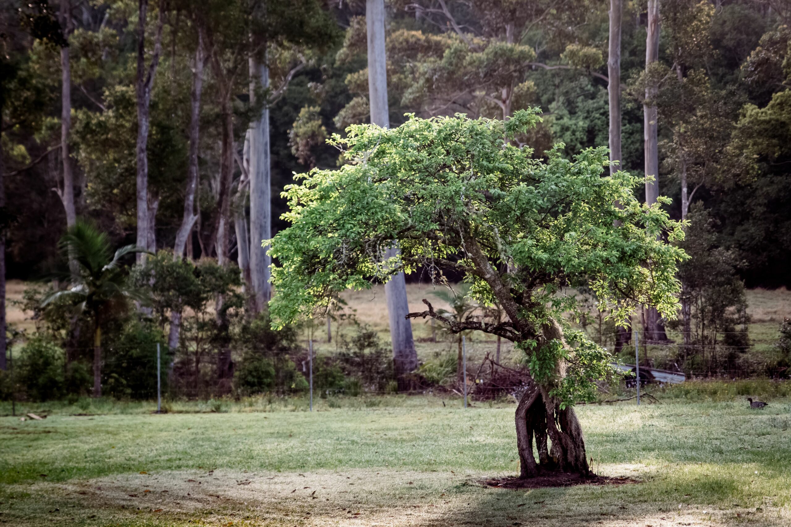 Catch Your Breath. A Rural Getaway Only 5 Mins to the Beach