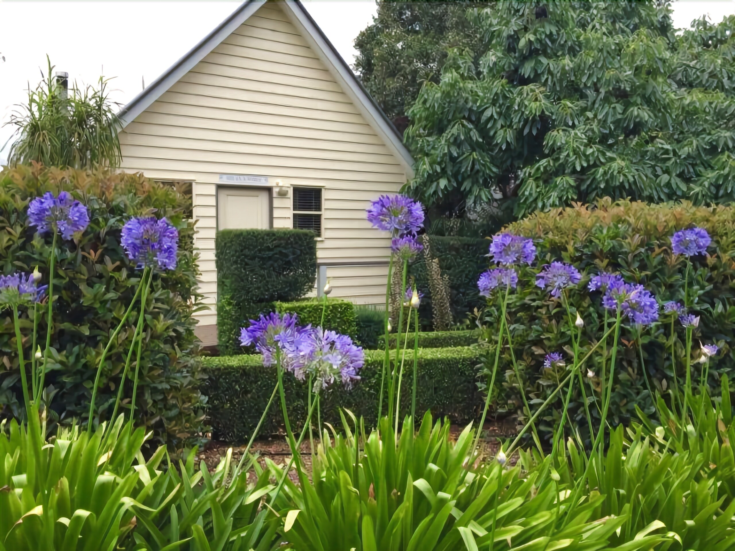 Tamborine Gardens