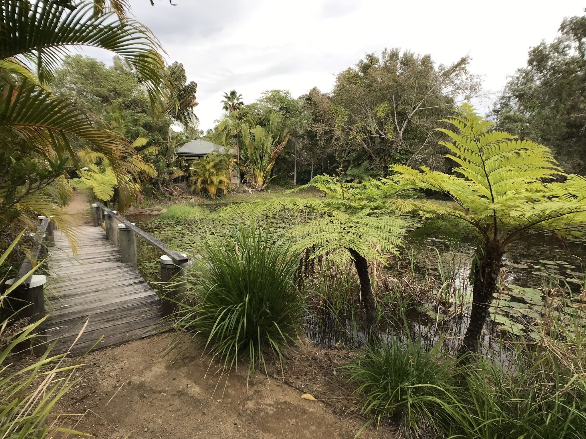 Treetops Lakeside Guesthouse