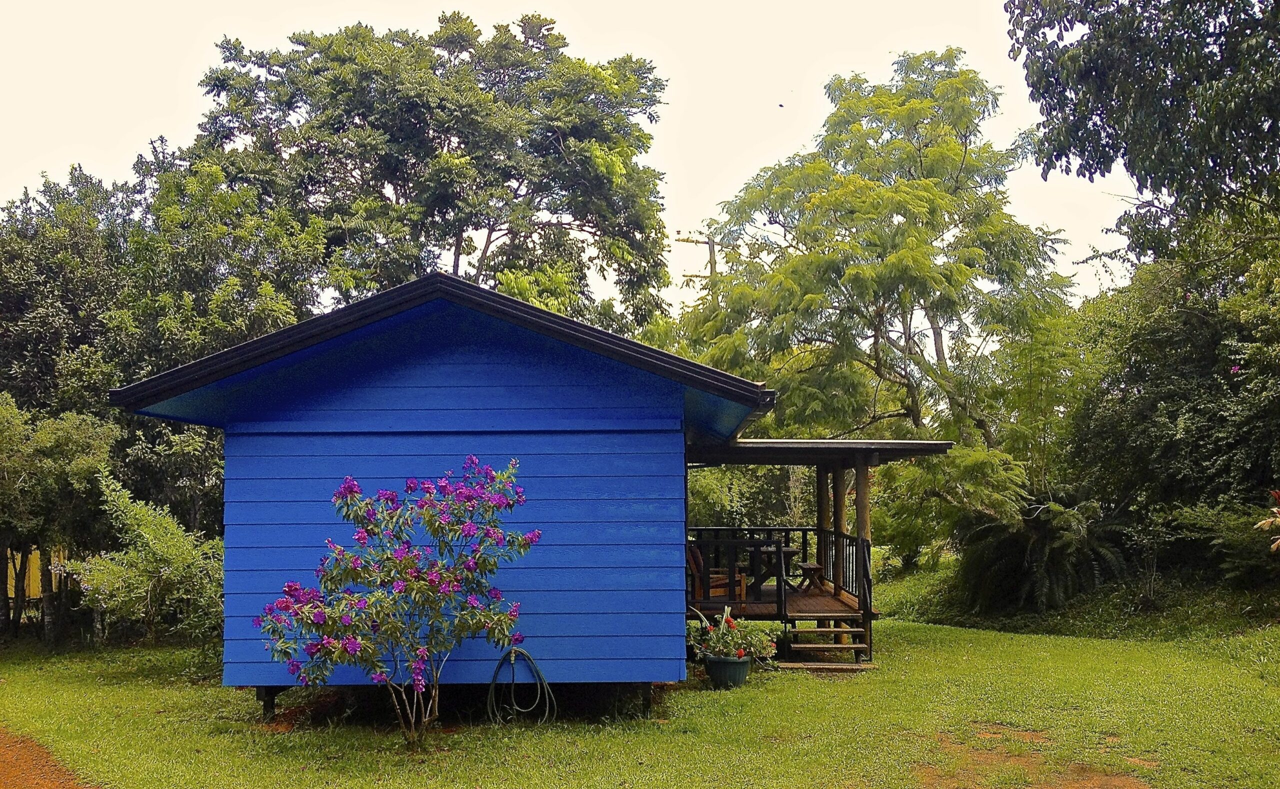 Lake Eacham Tourist Park & Self Contained Cabins