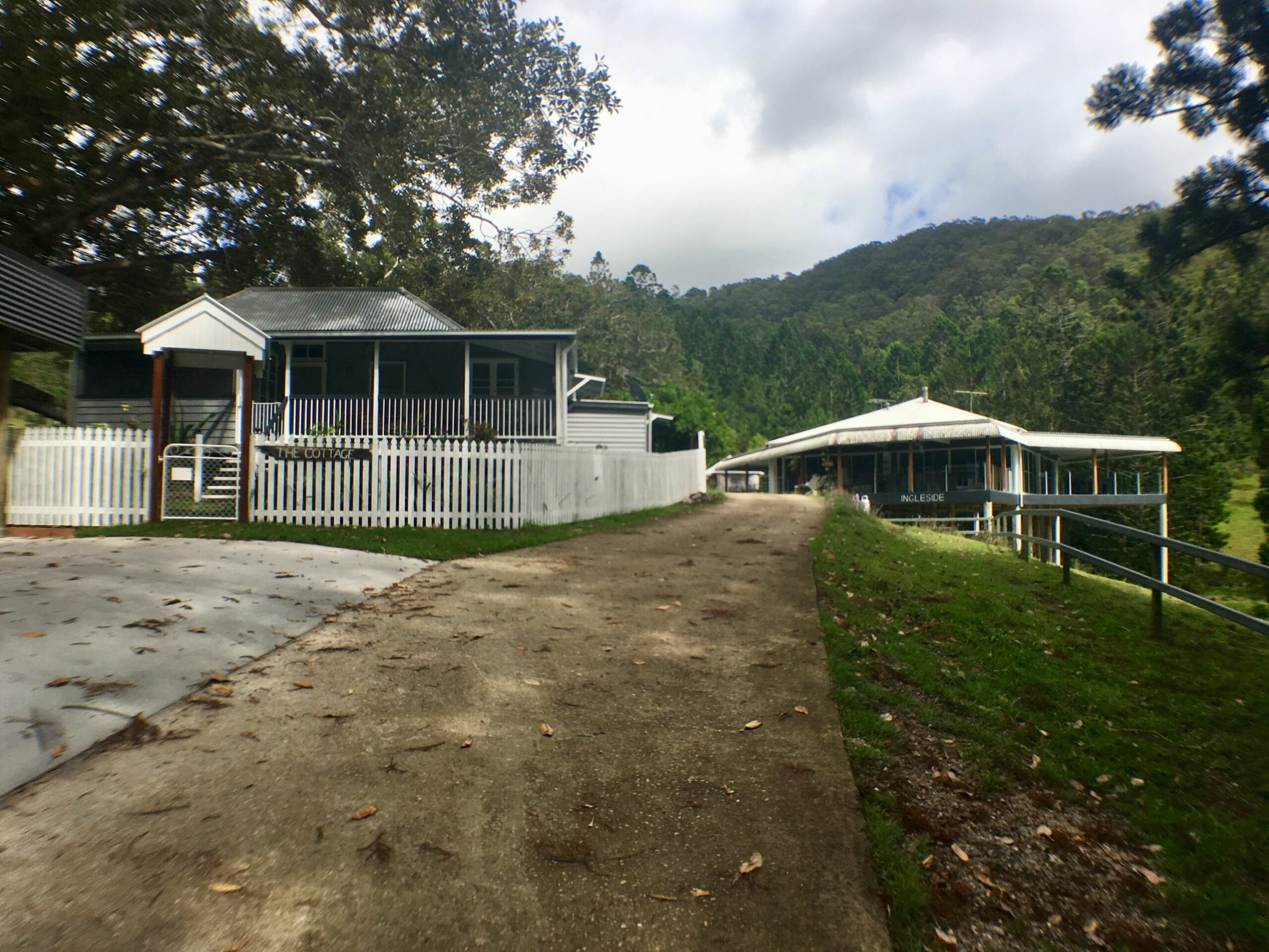 Ingleside Stud Farm