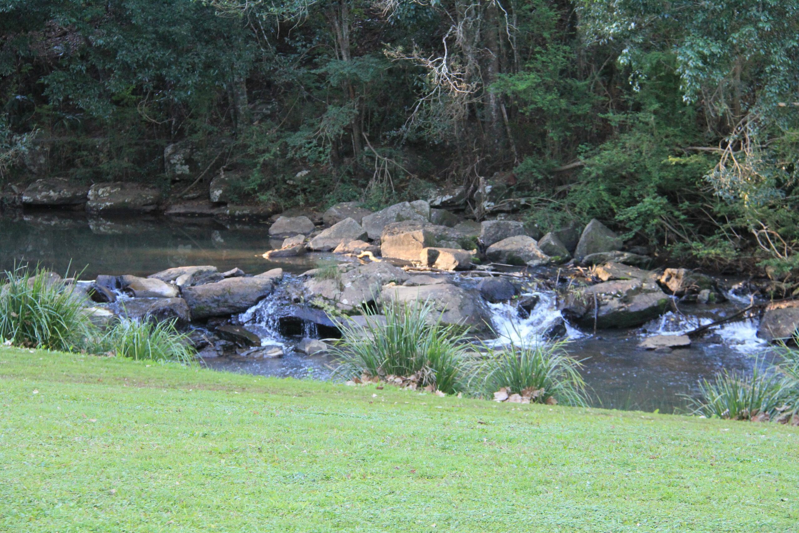 Maleny Hotel