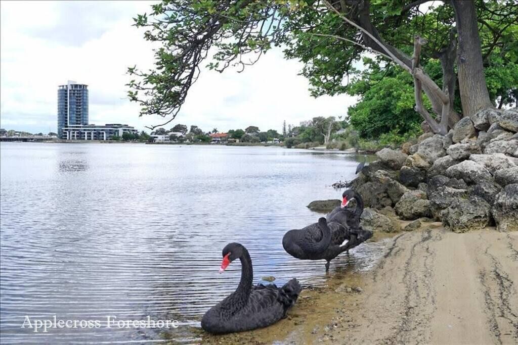 Generous Riverside Living4br Swan Riverheathcote Parknetflix