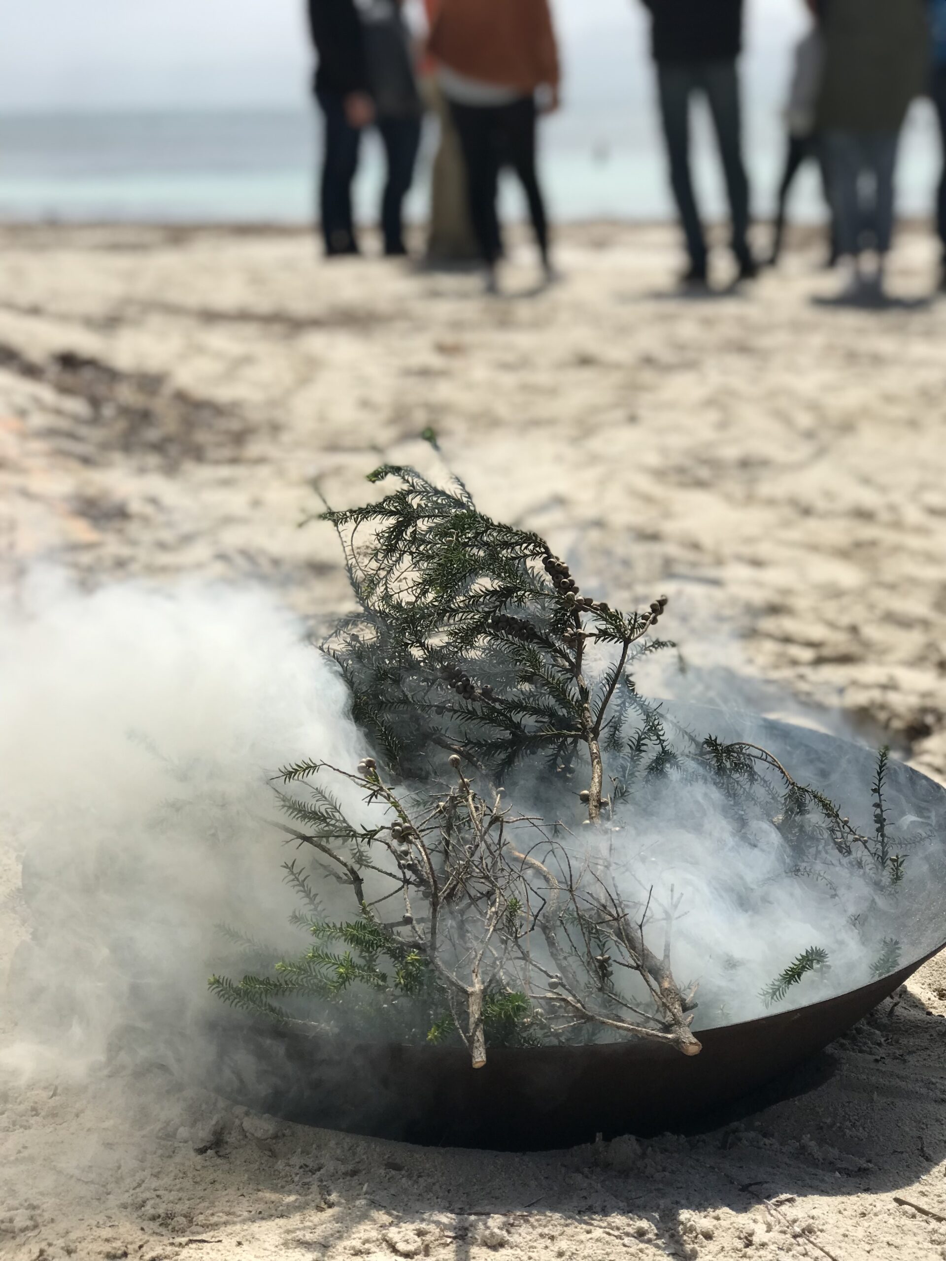 Wadjemup (Rottnest Island) Immersive Experience