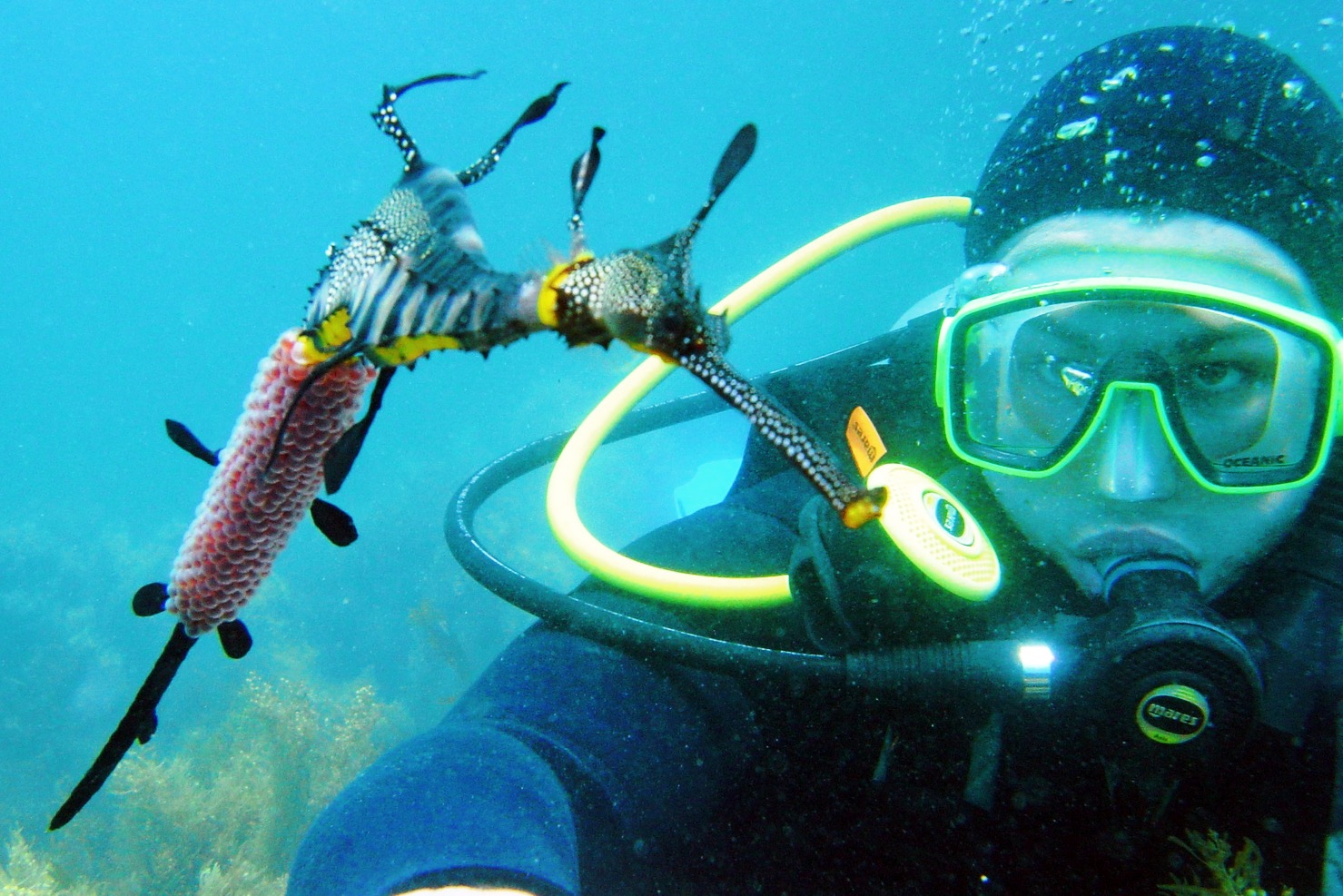 Discover SCUBA Dive