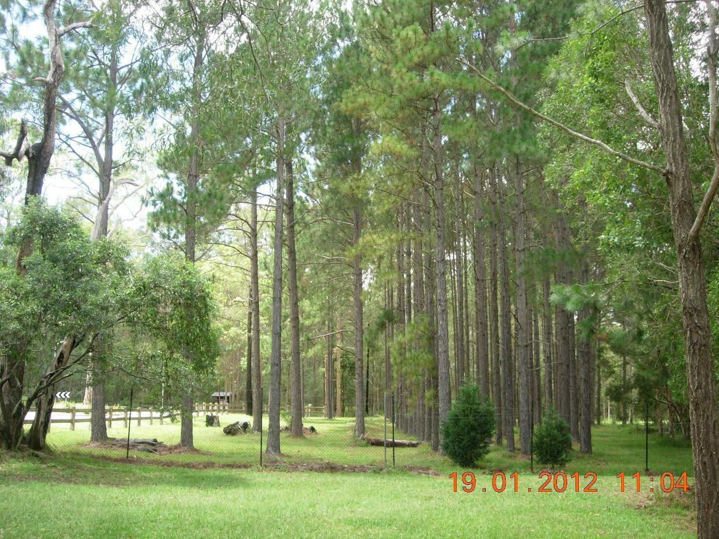 Springwood Meditation Vacation Center