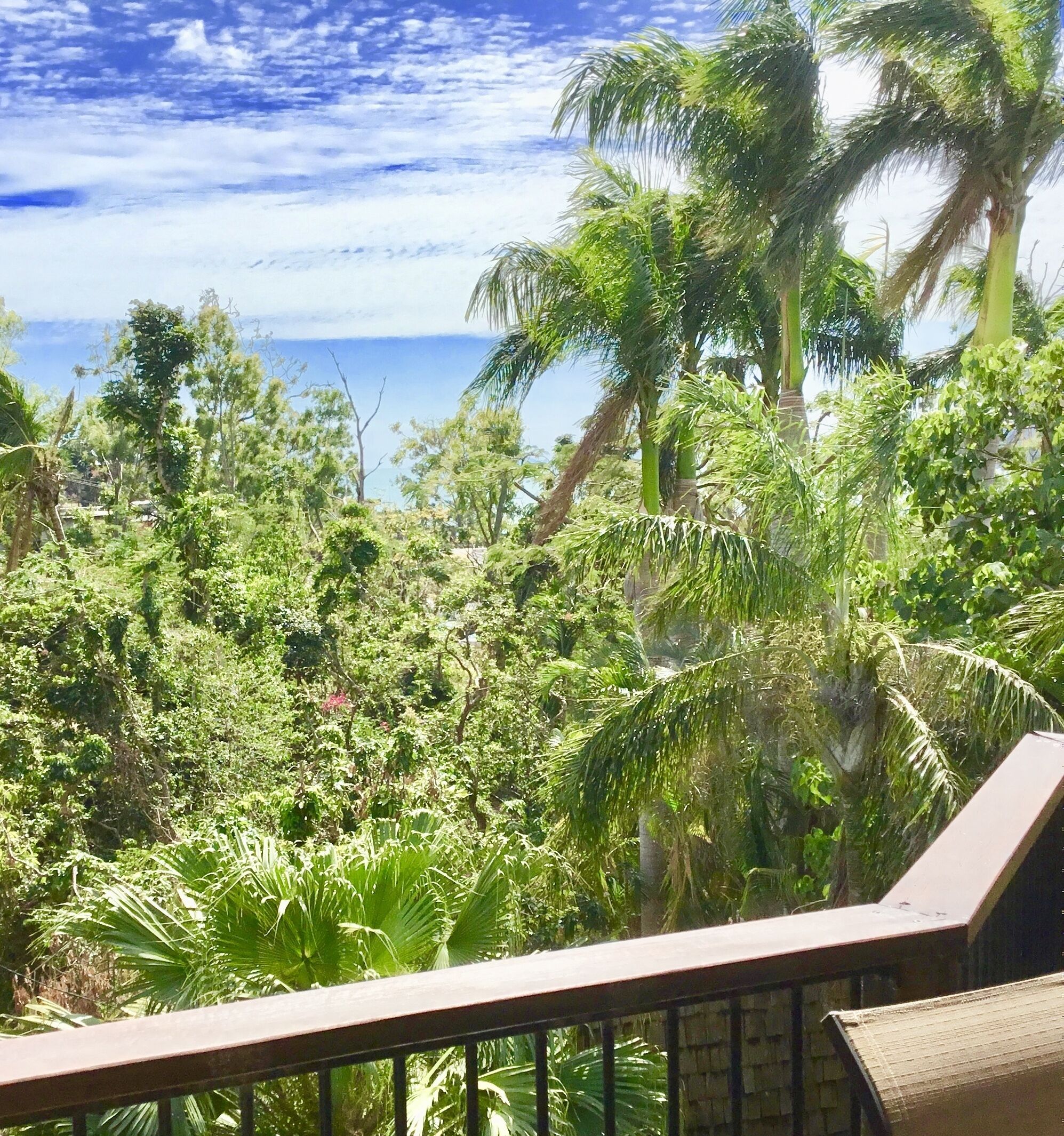 Airlie Beach Treehouse/from $45/night/person