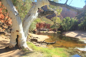 Alice Springs to Uluru via MacDonnell Ranges Kings Canyon Palm Valley Tours 3 Days