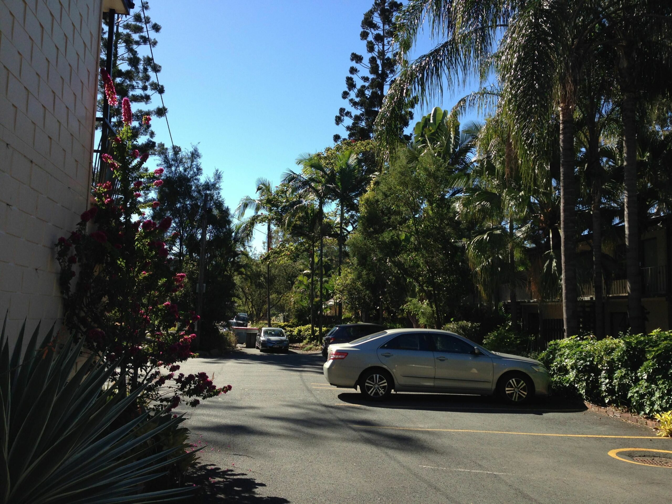 Forest Lodge Apartments