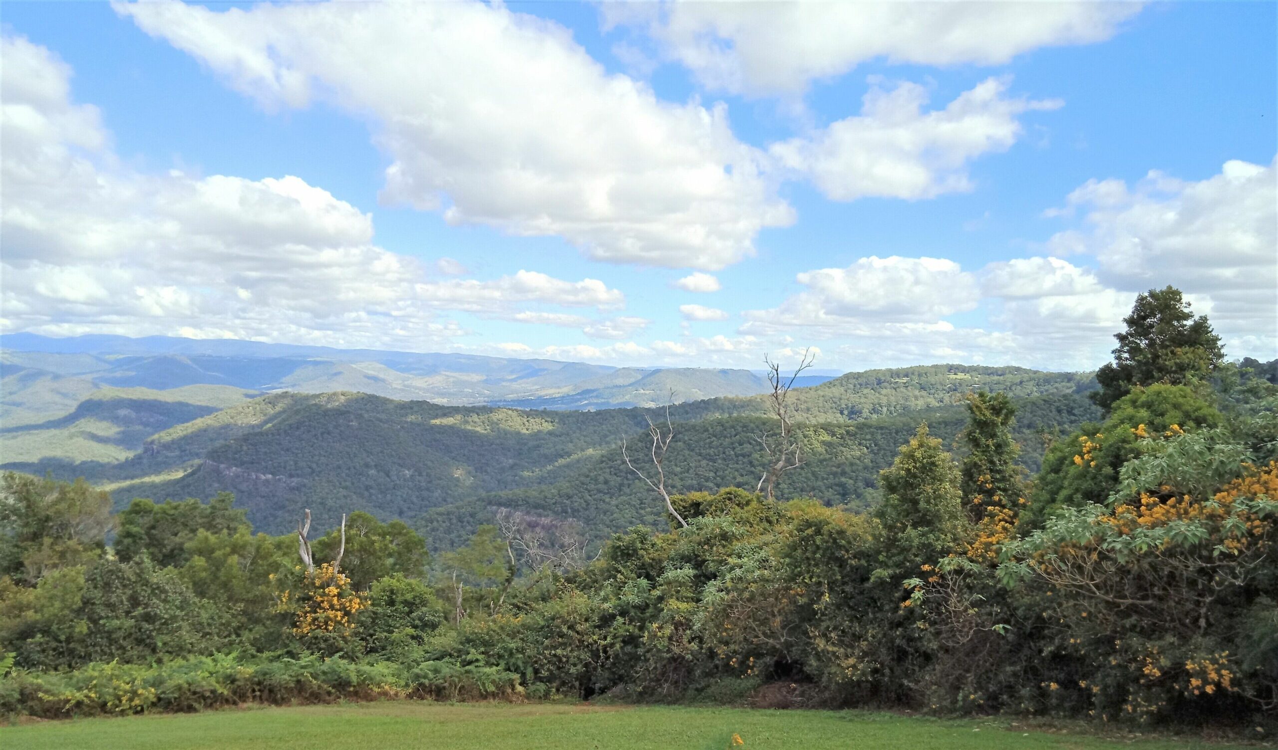 Mountain Lookout, the weekender Mt Tamborine