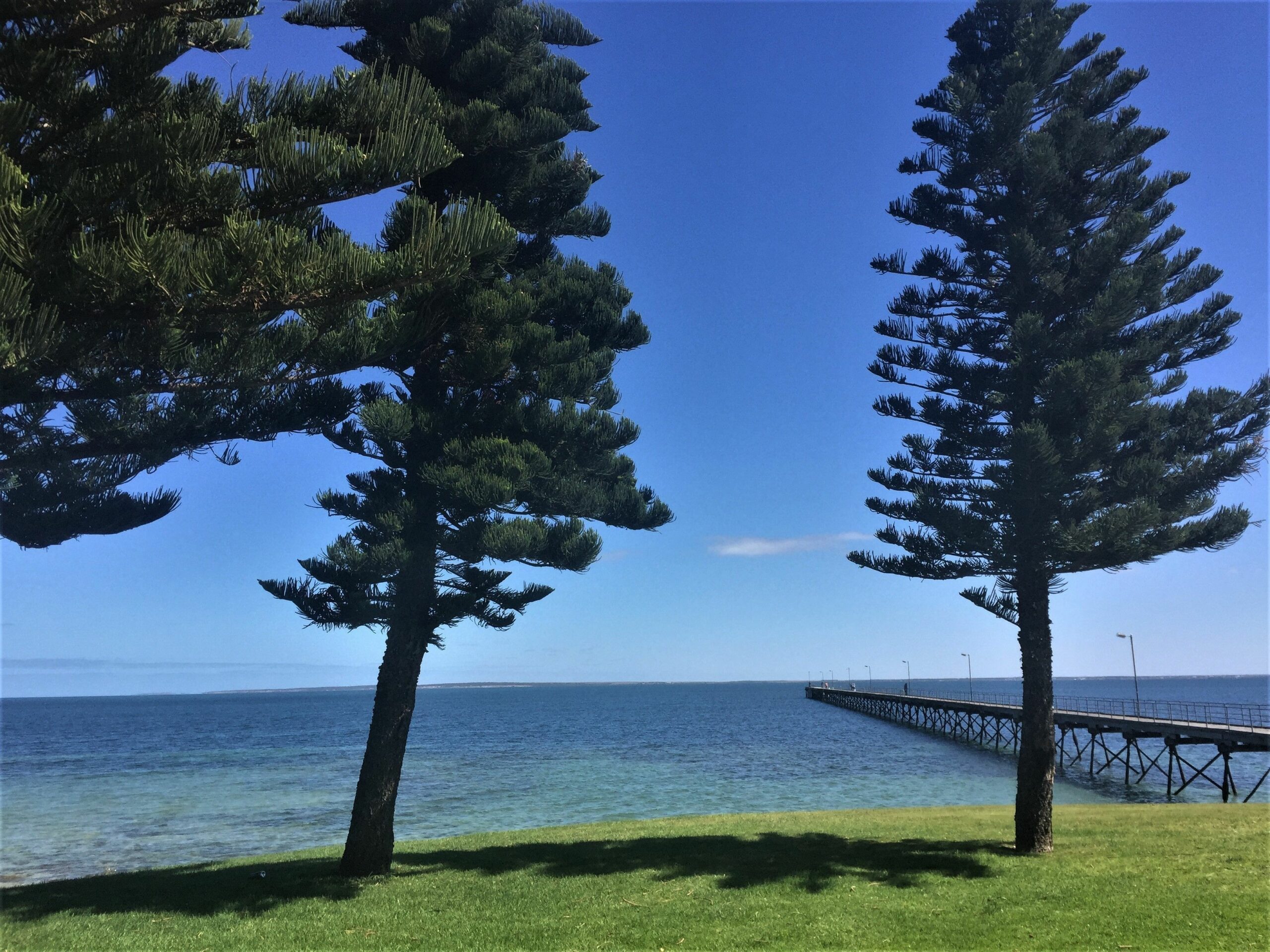 Ceduna Motor Inn