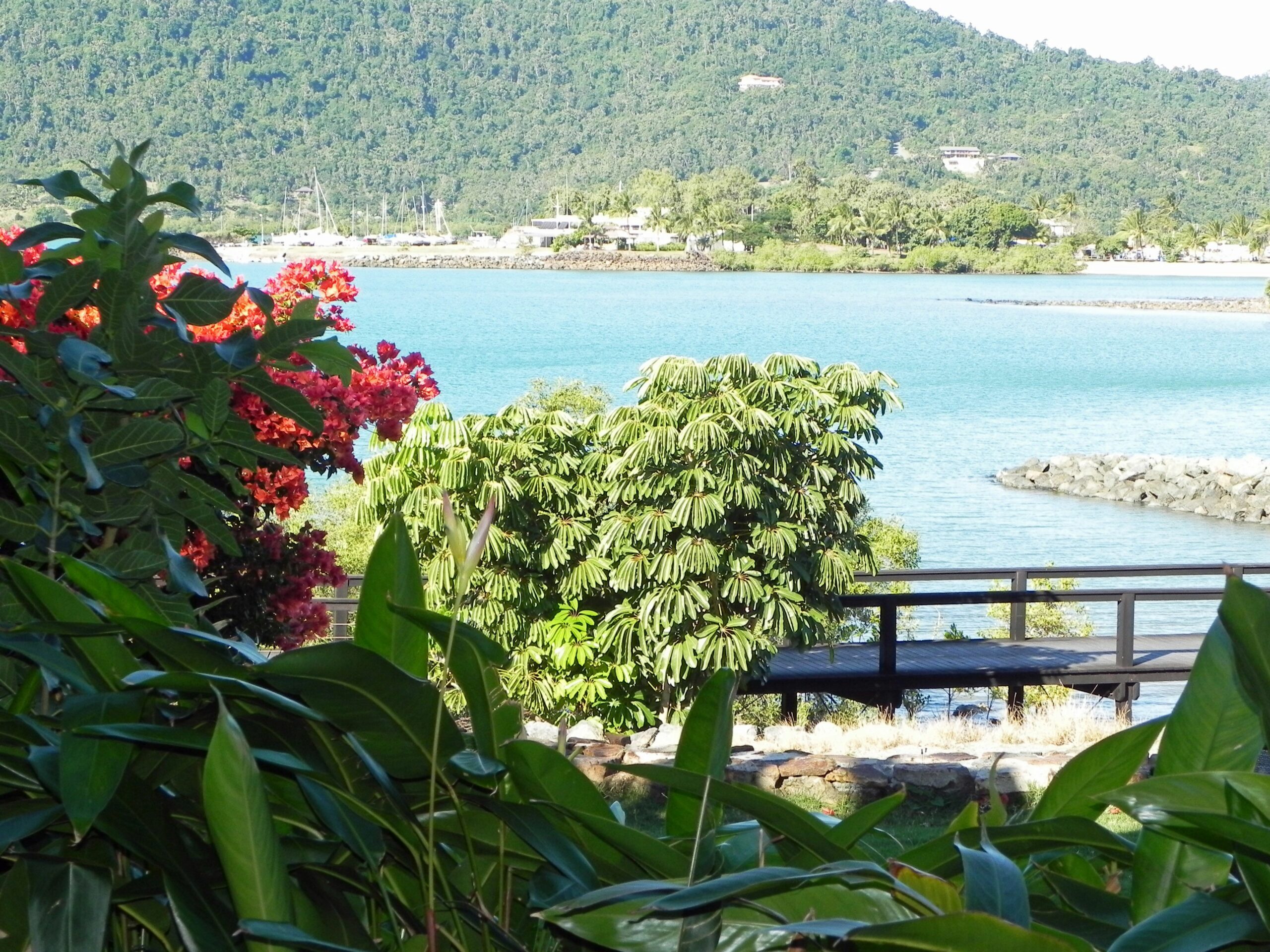 Airlie Waterfront Bed & Breakfast