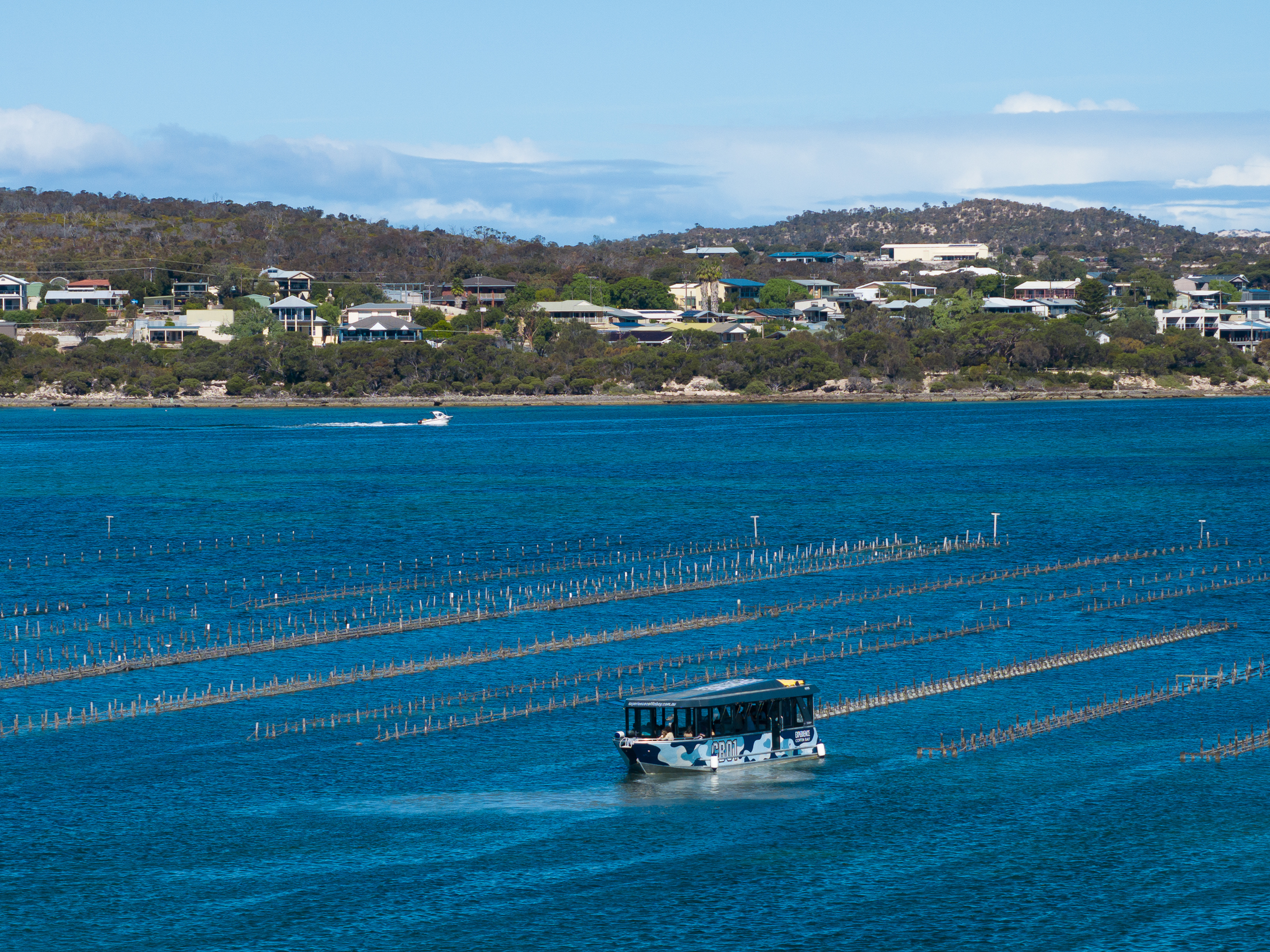 Coffin Bay Short & Sweet Oyster Farm Tour - Inc 6 Oysters