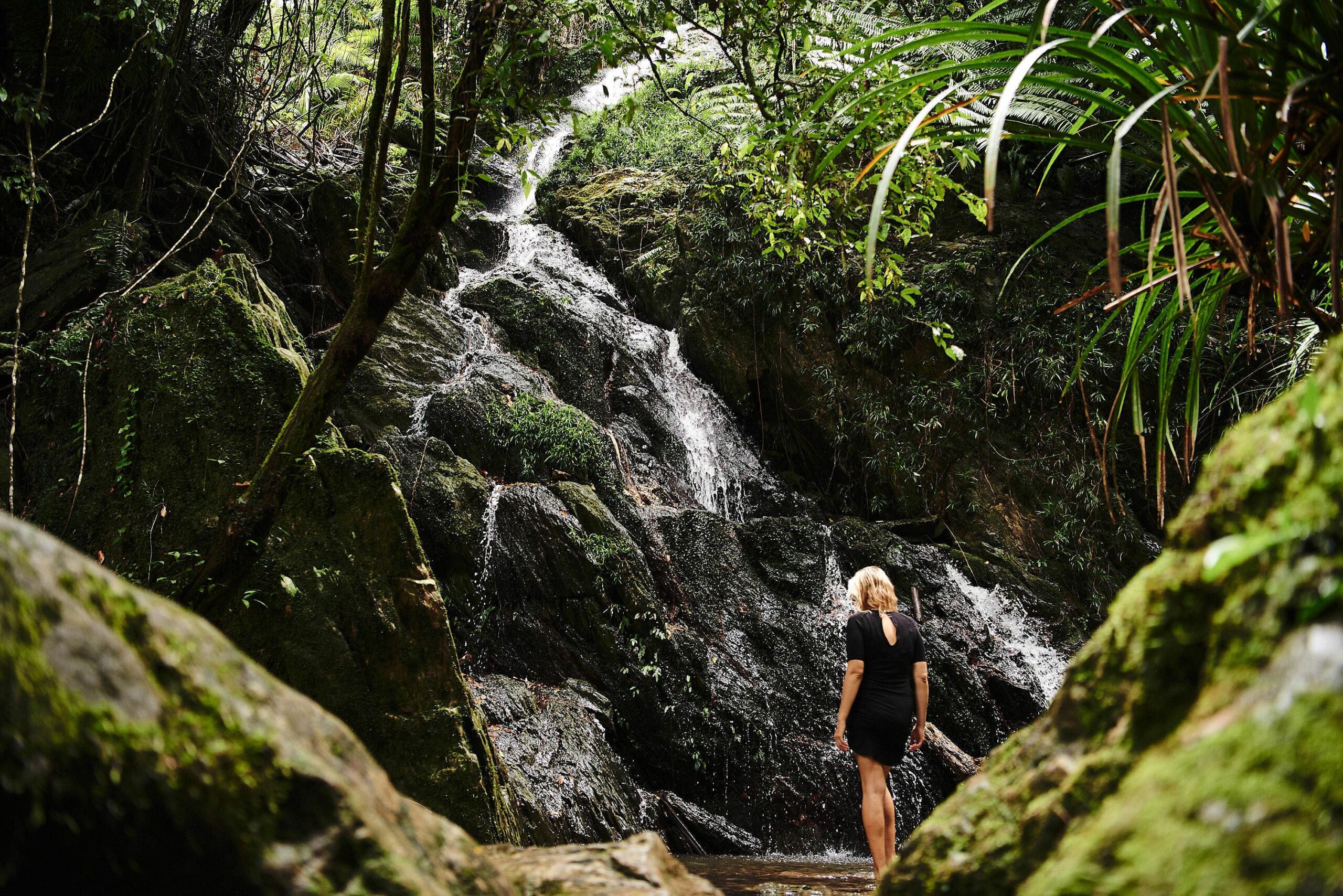 Daintree Ecolodge