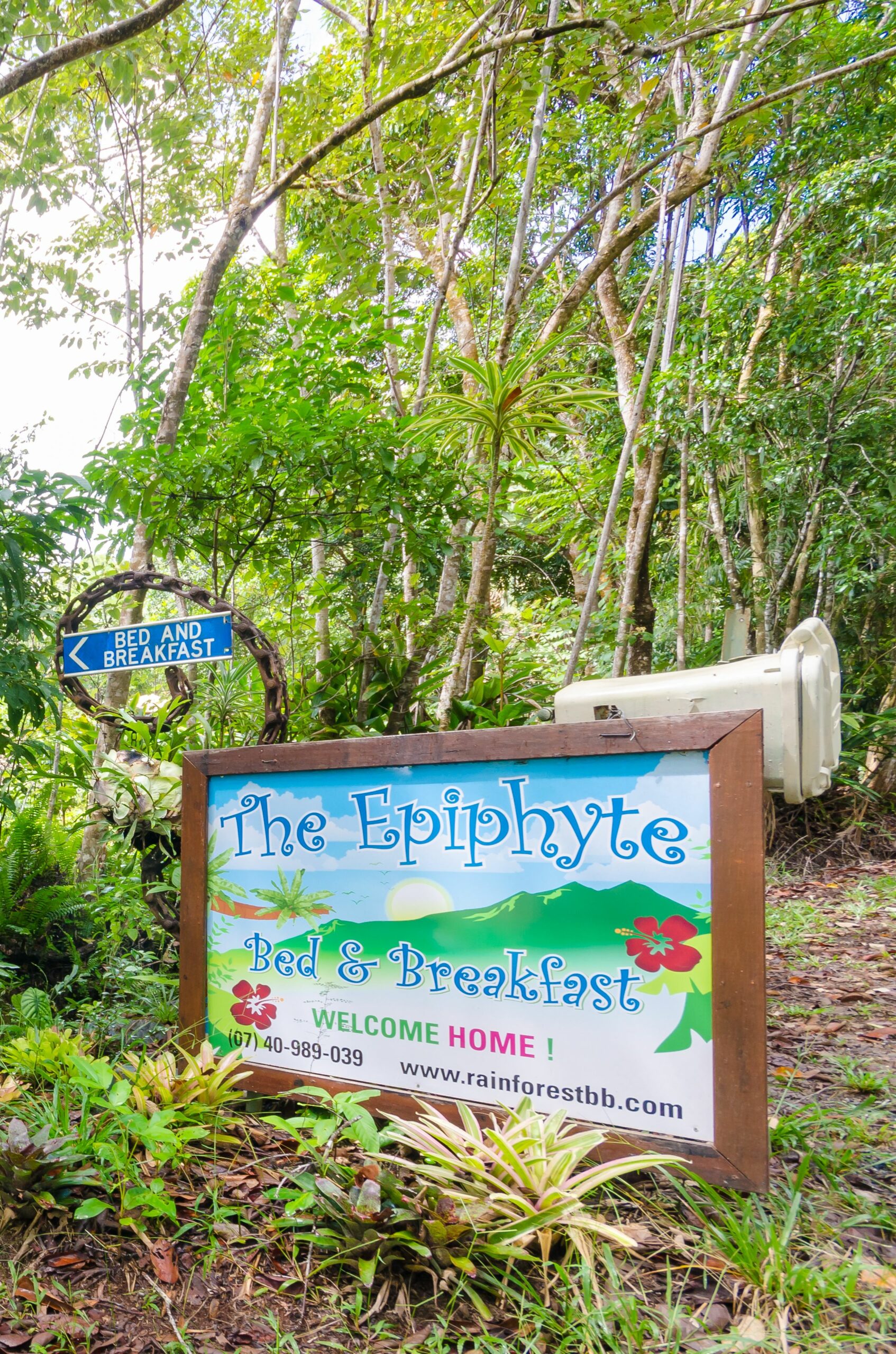 The Epiphyte Bed & Breakfast