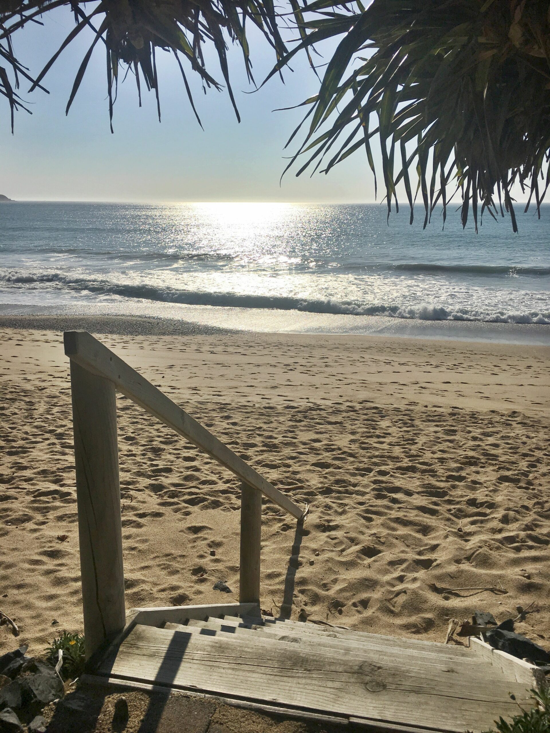 Absolute beachfront - Fin's at Sapphire 'Yellowfin' apartment