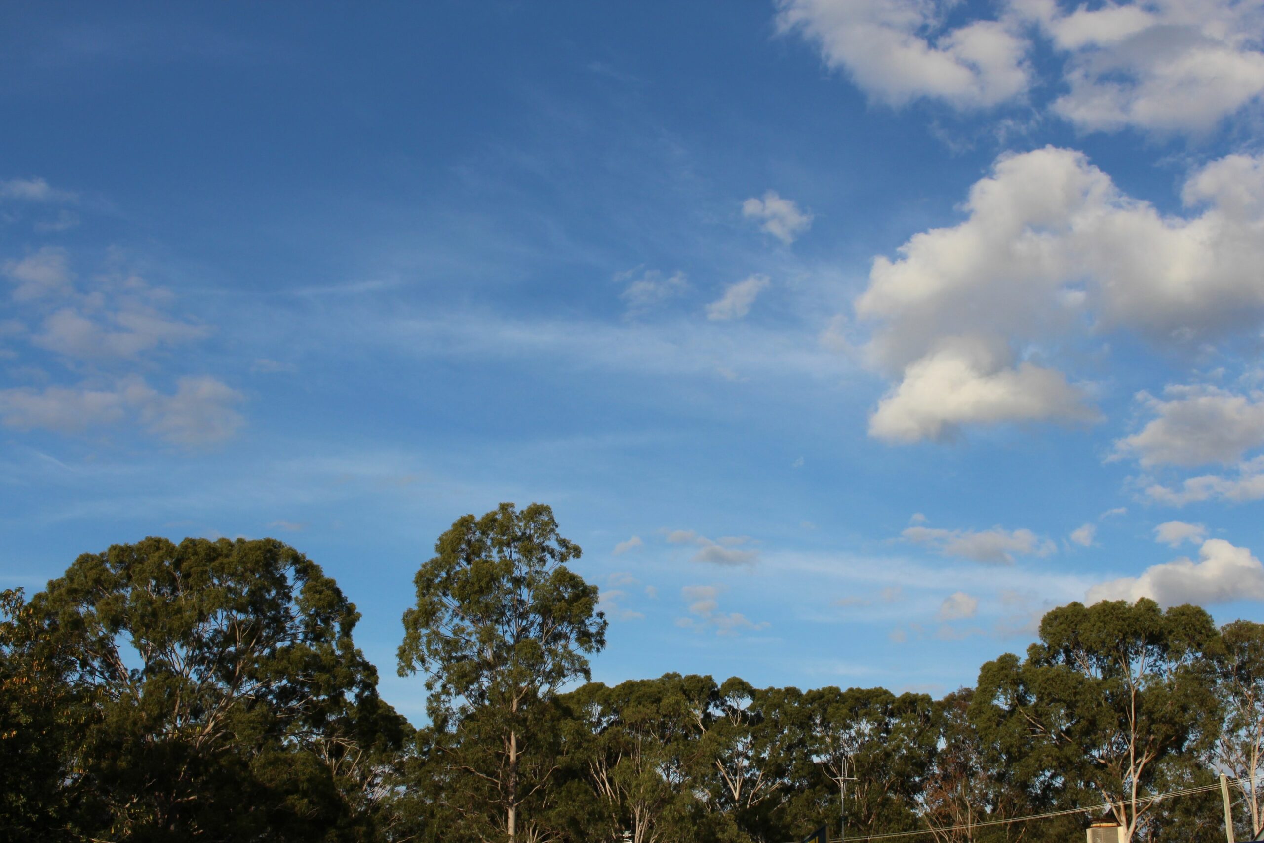 Huntsville Caravan Park