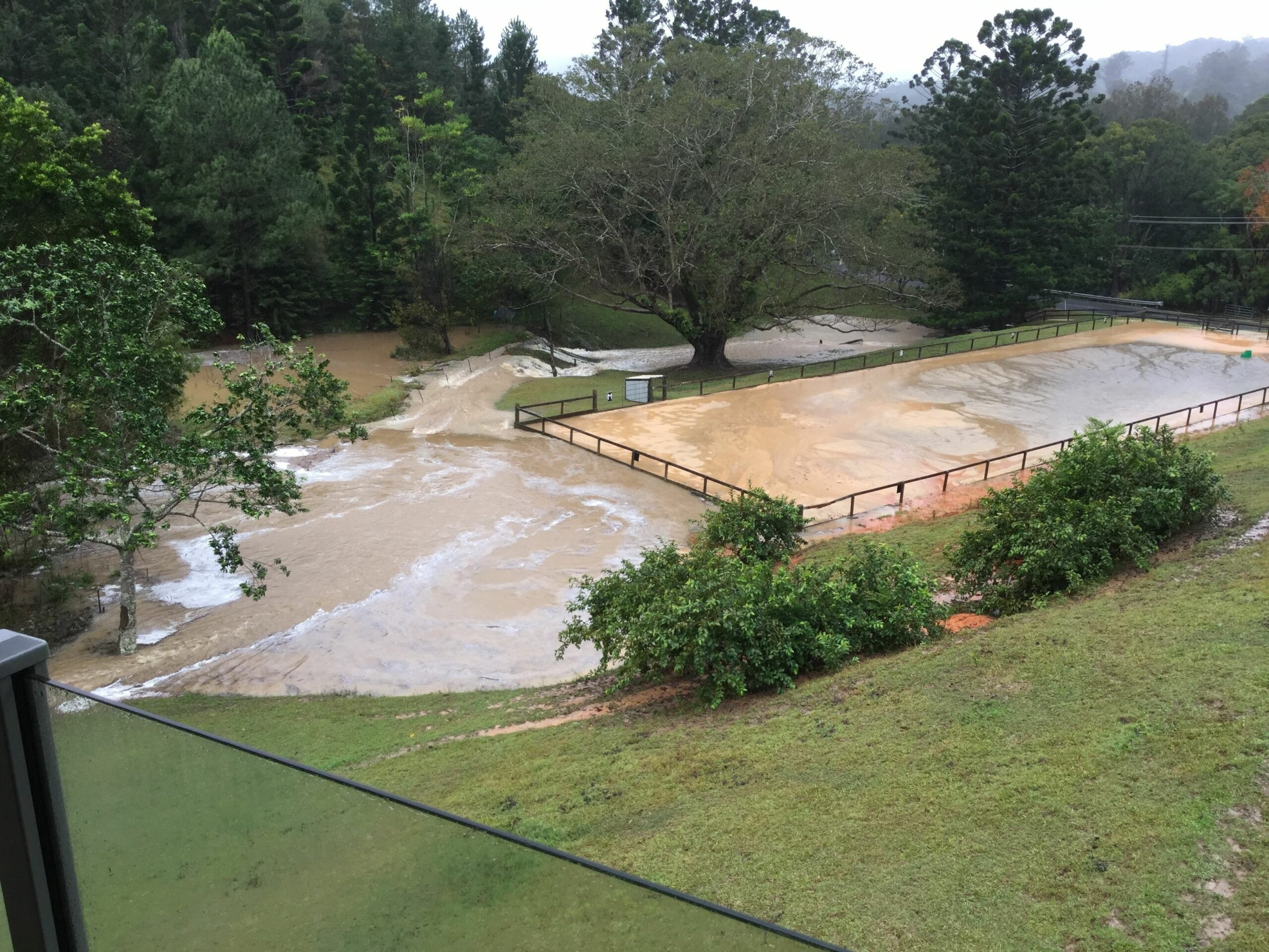 Ingleside Stud Farm