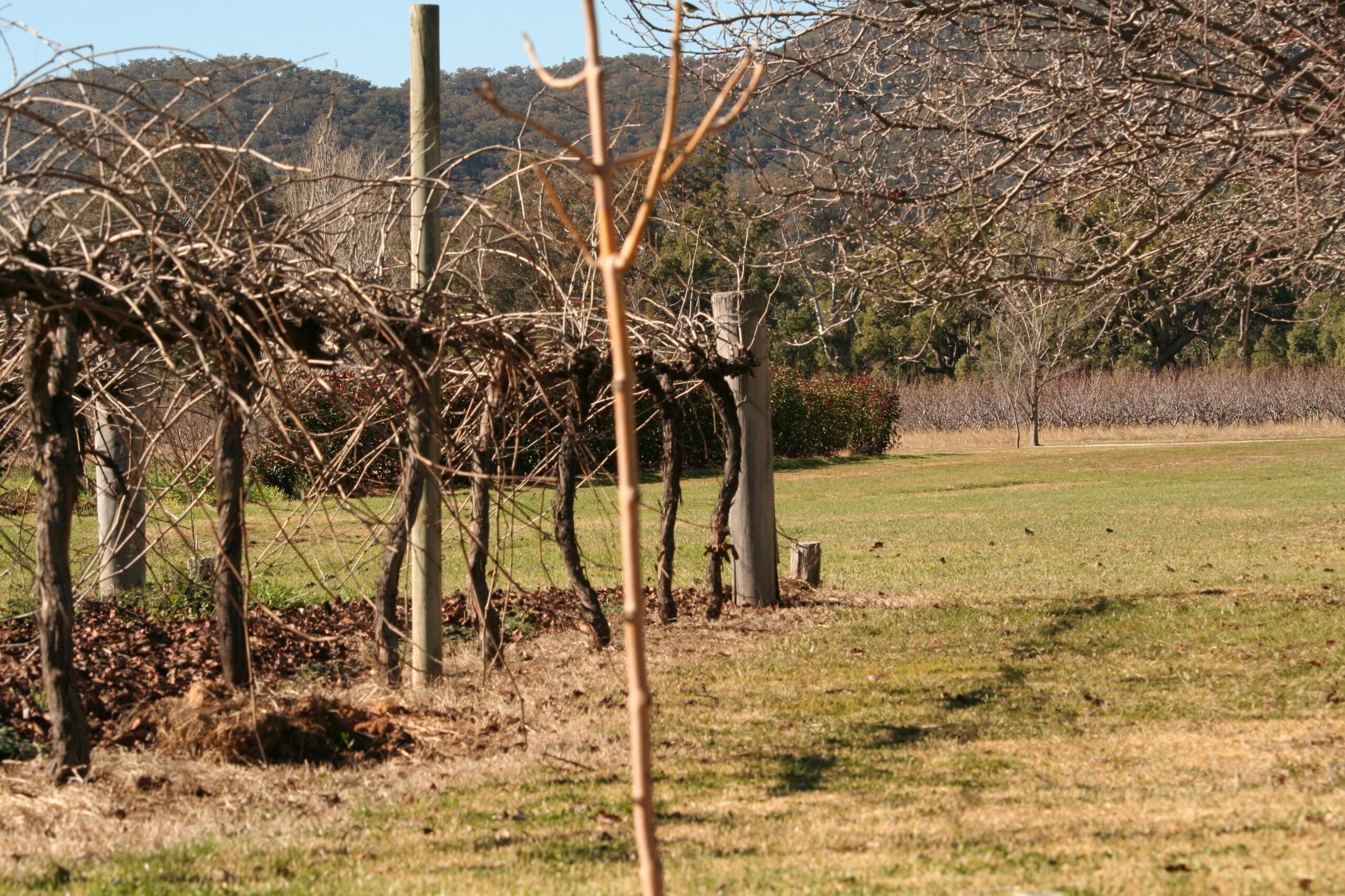 The Farmhouse at Blue Wren Wines