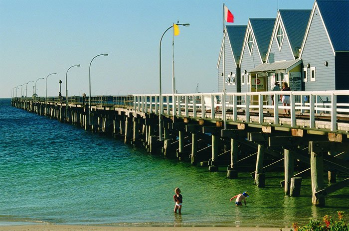 Busselton Jetty, Train Ride & Dolphin Discovery