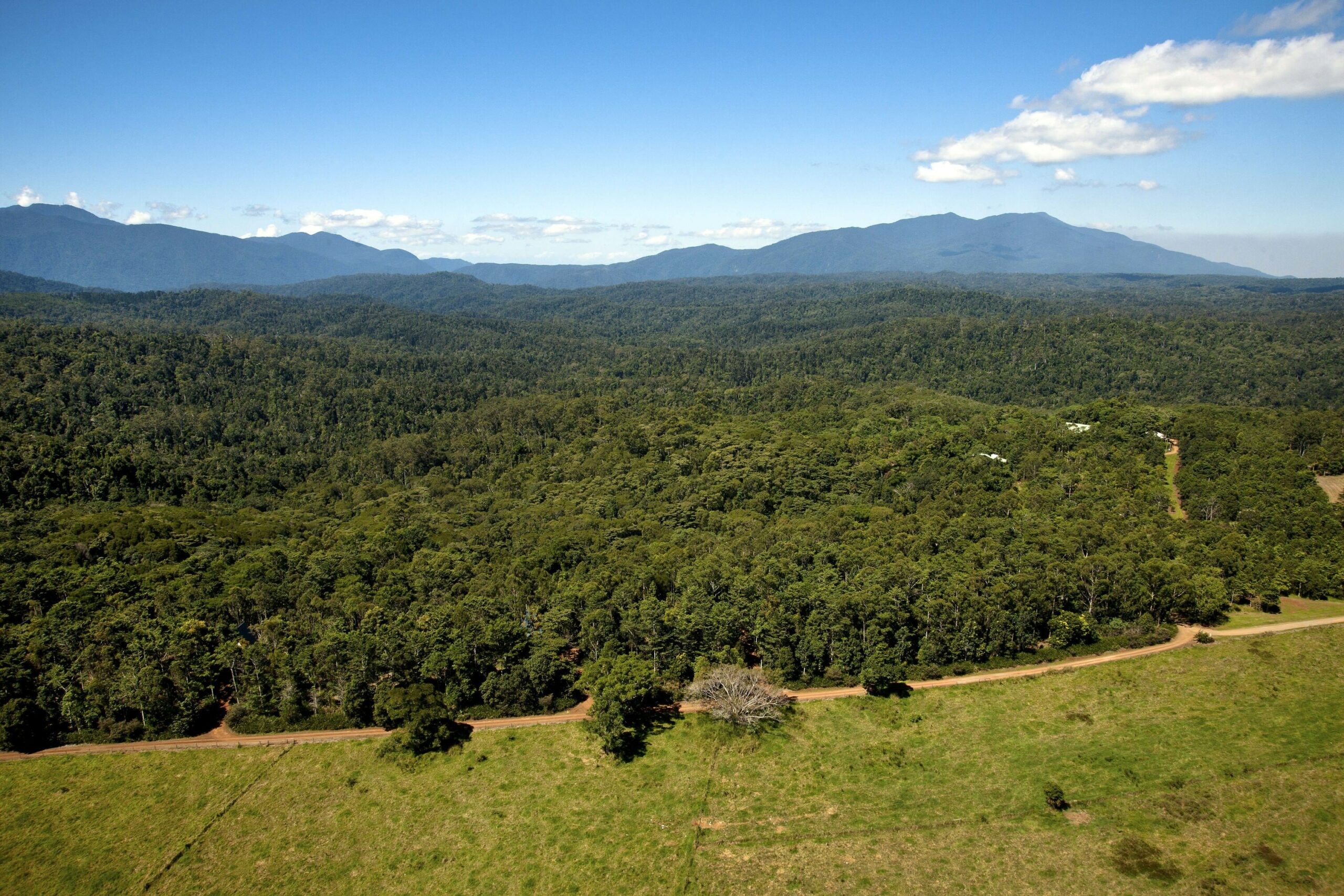 Rose Gums Wilderness Retreat