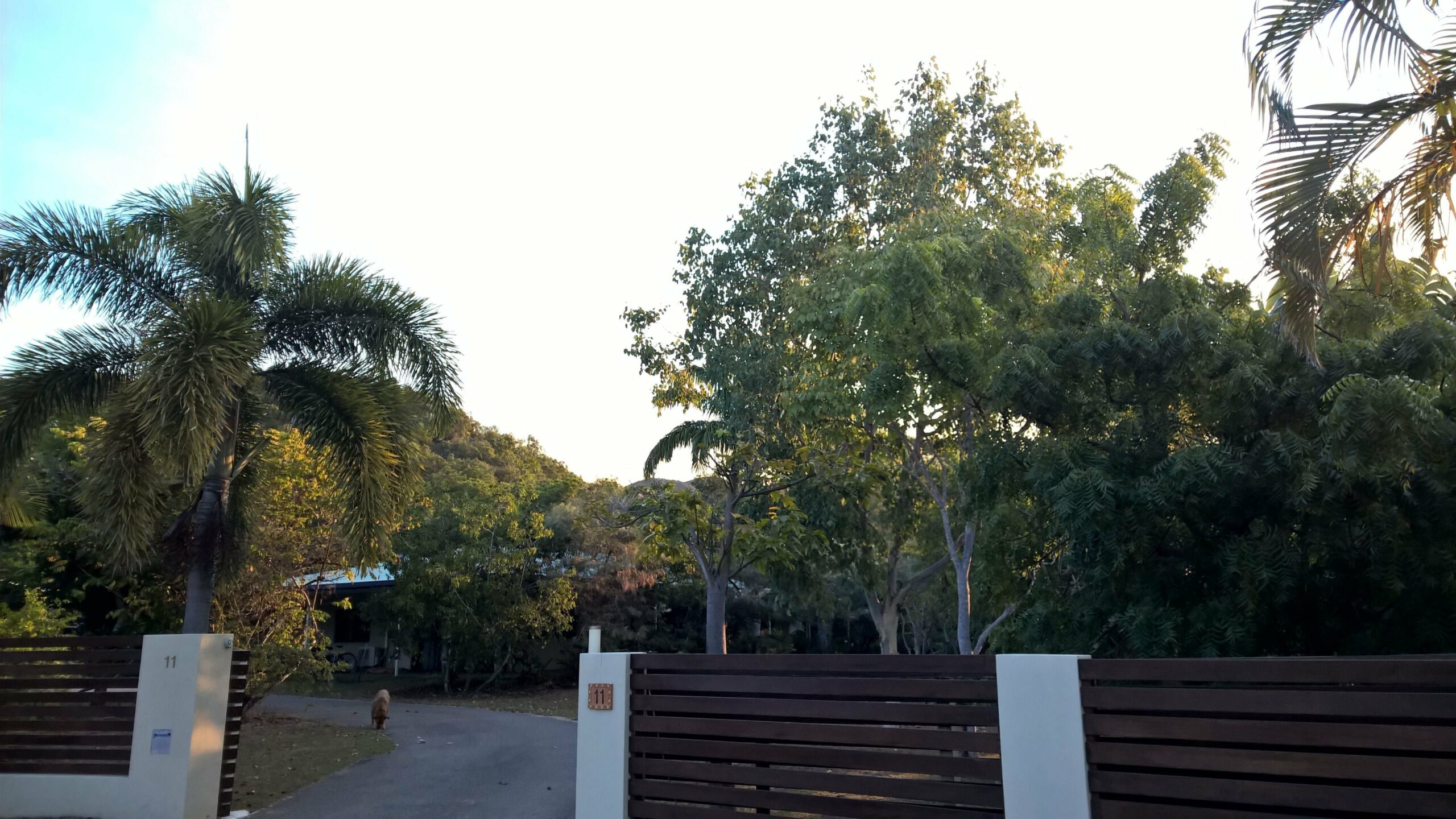 Magnetic Island Bed and Breakfast