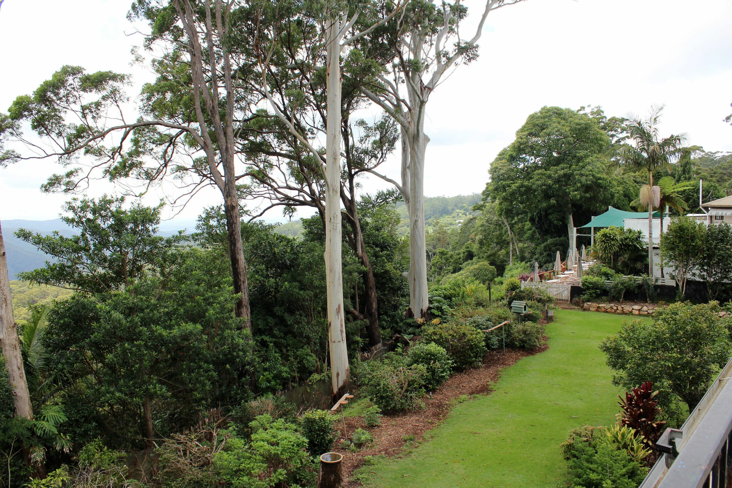 Mt Tamborine Motel