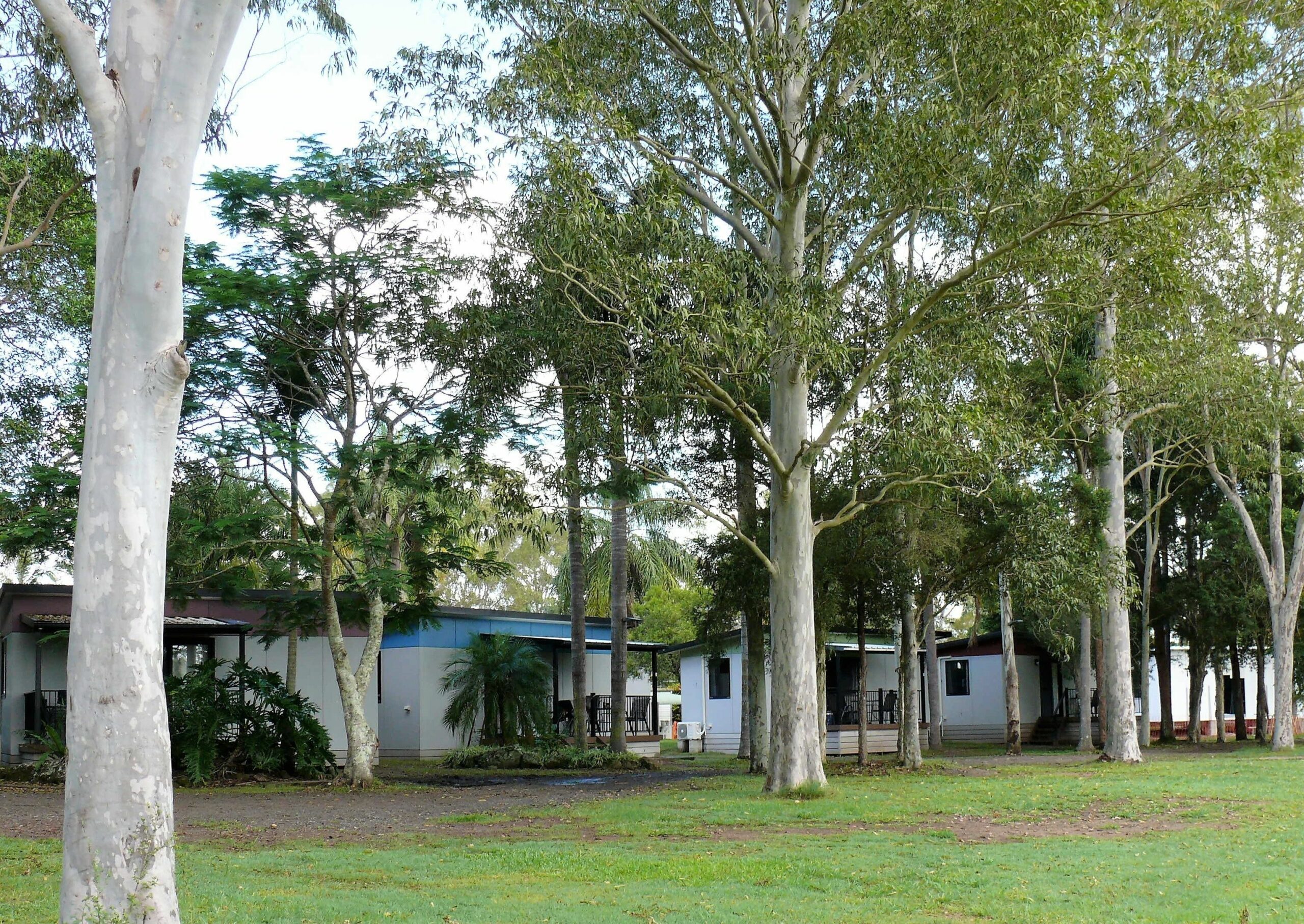 Lismore Lake Holiday Park