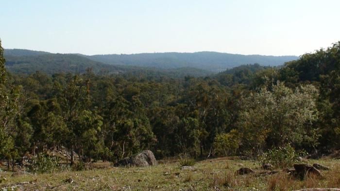 Curlew Retreat