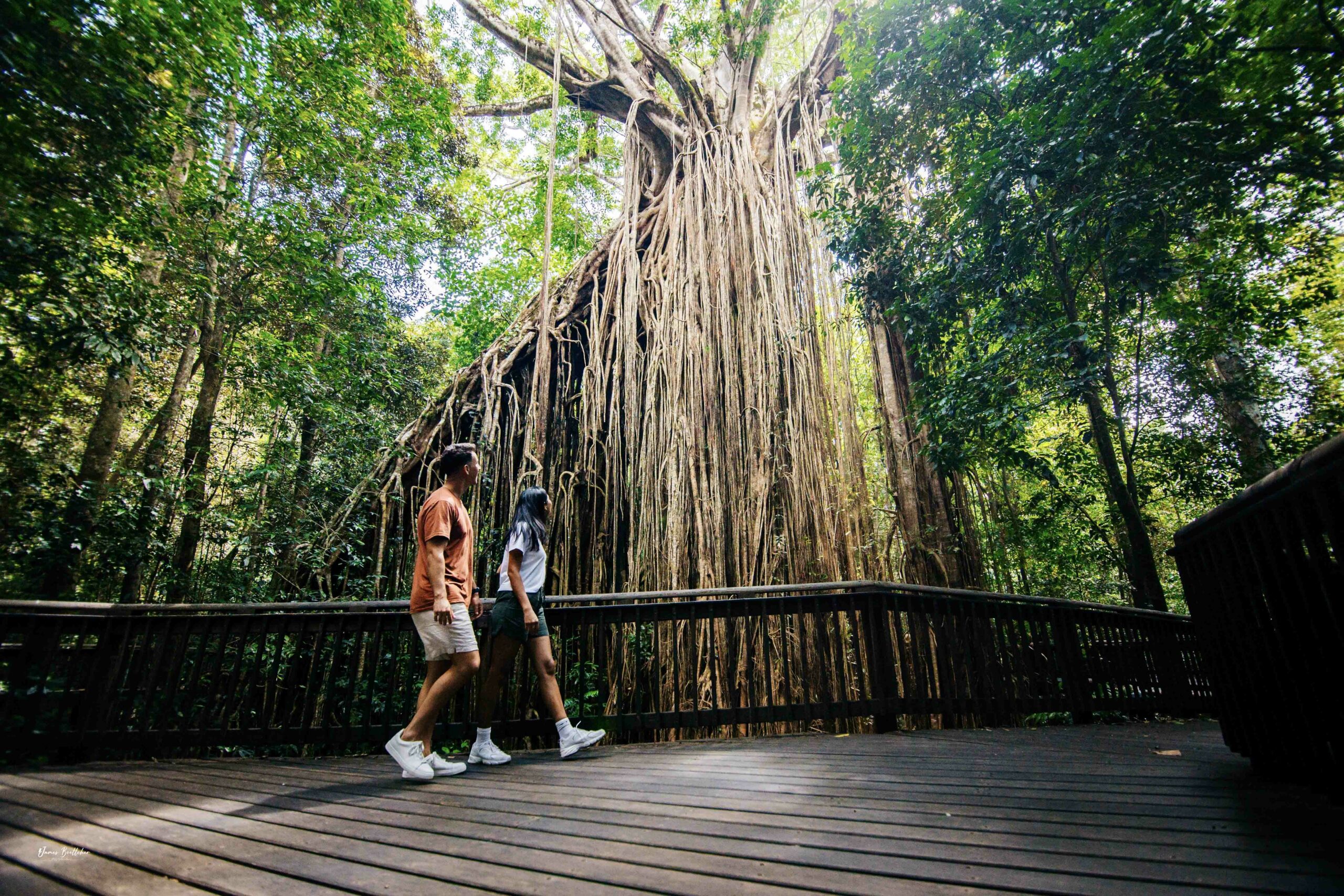 Private Atherton Tablelands  Nature and Wildlife Tour