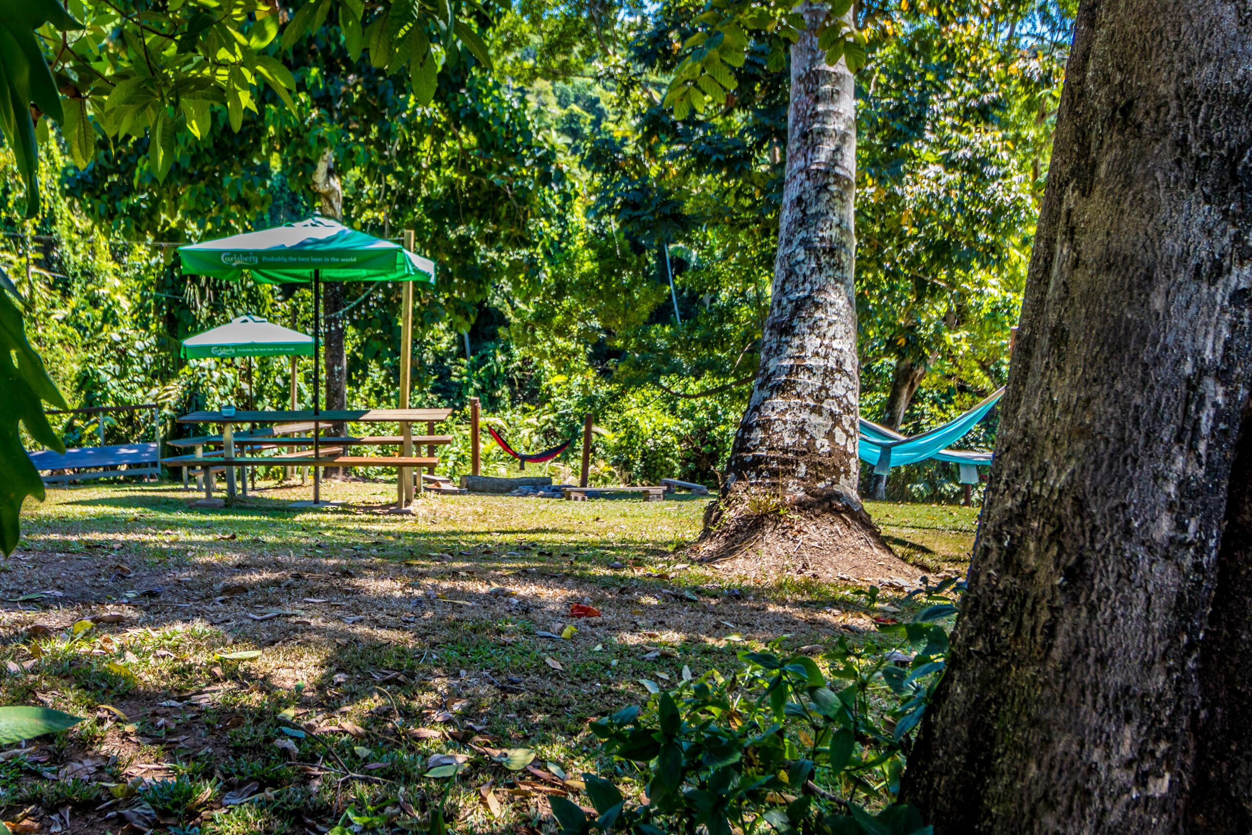 Jackaroo Treehouse Mission Beach