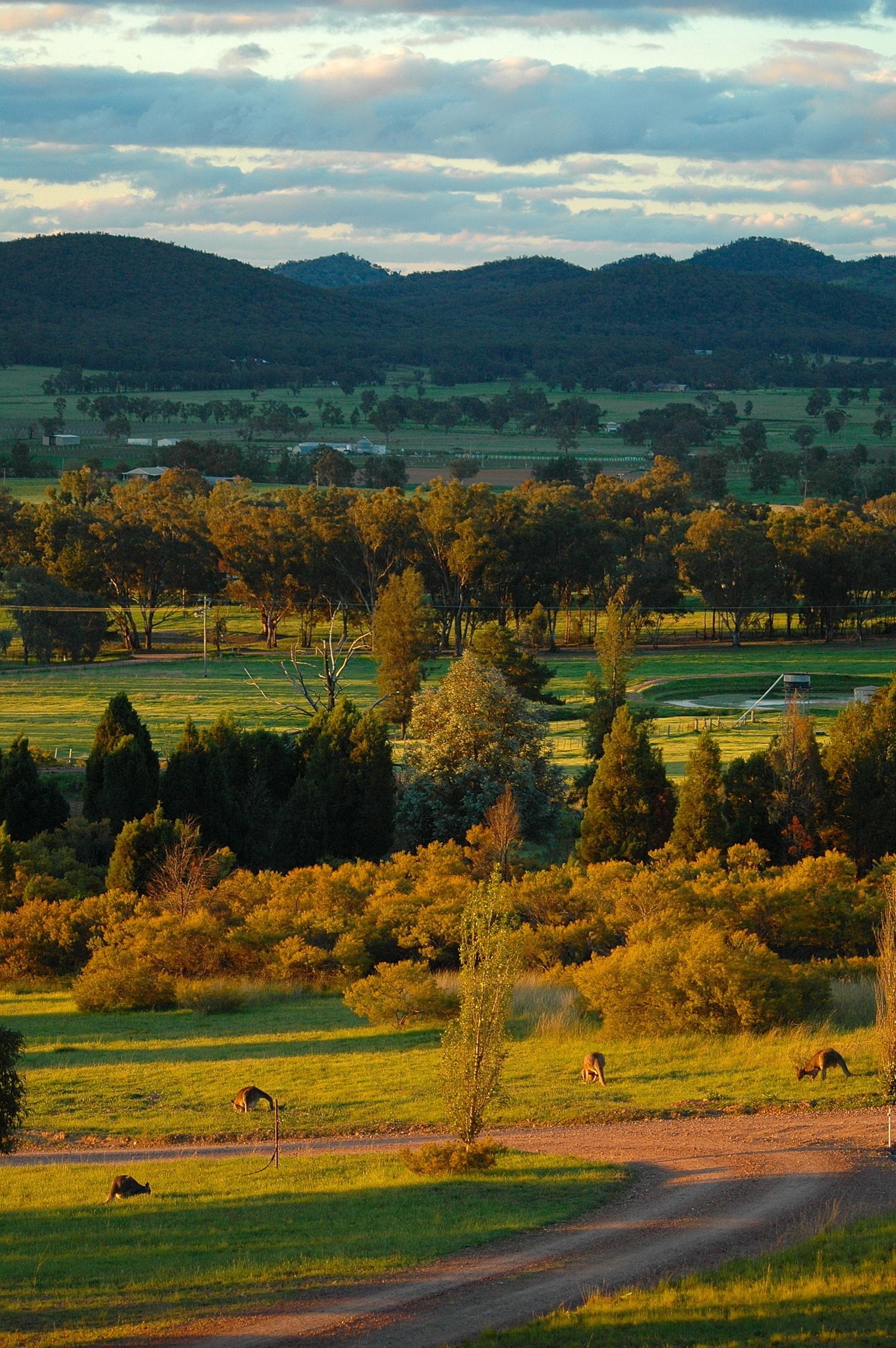 The Mudgee Homestead Guesthouse