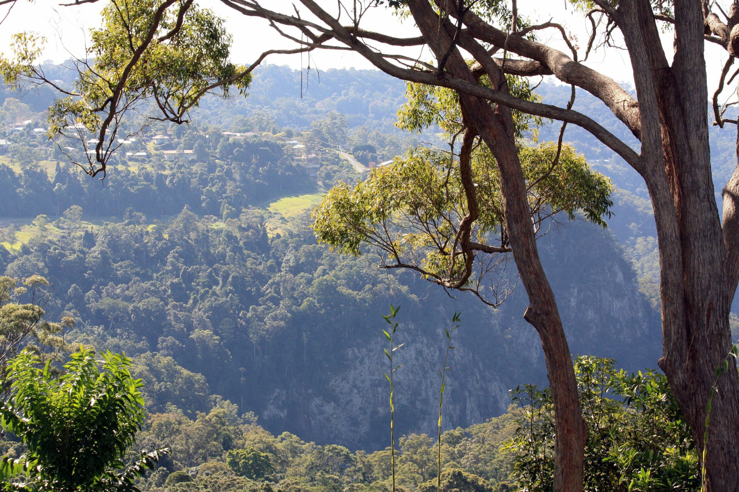 Mt Tamborine Motel