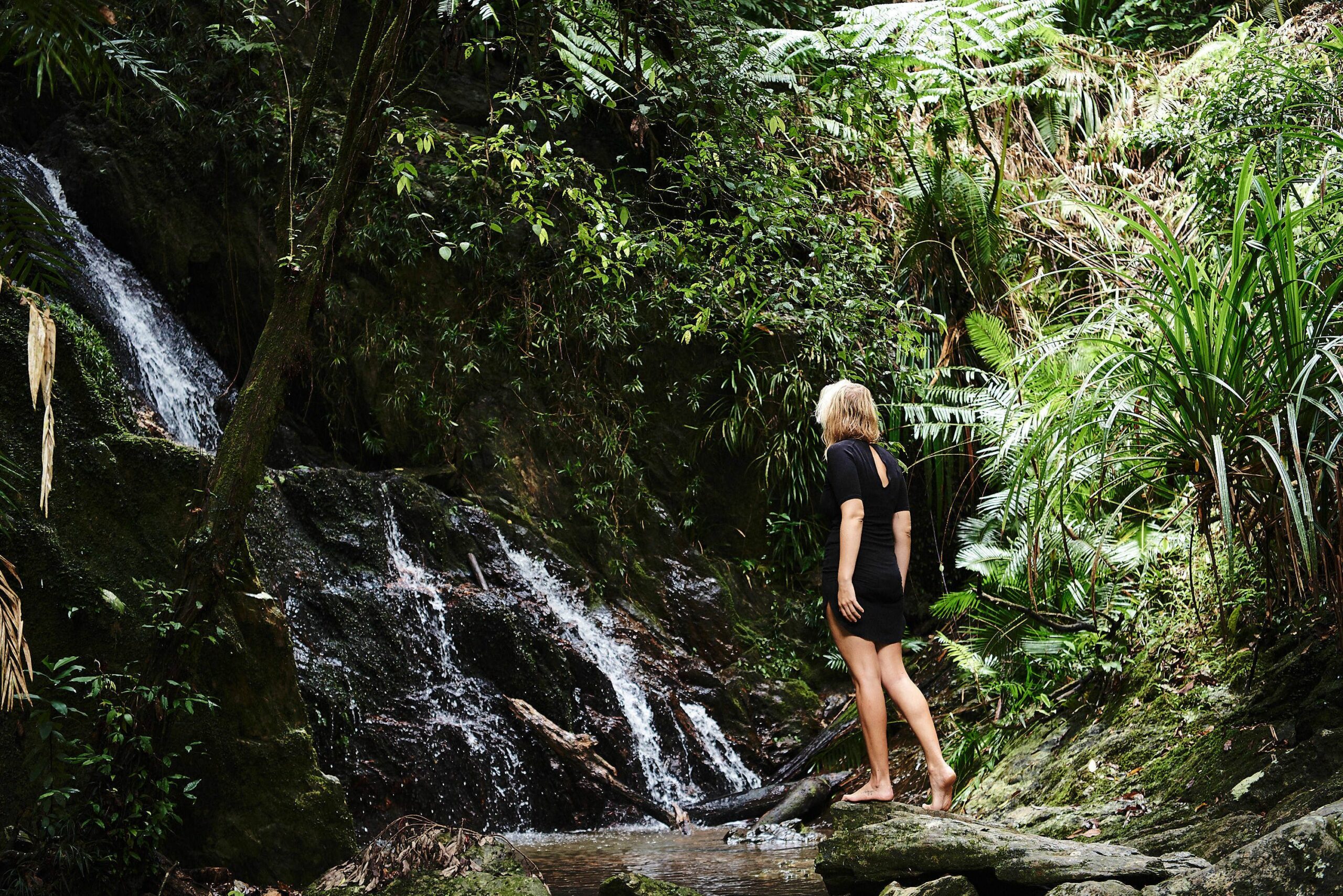 Daintree Ecolodge