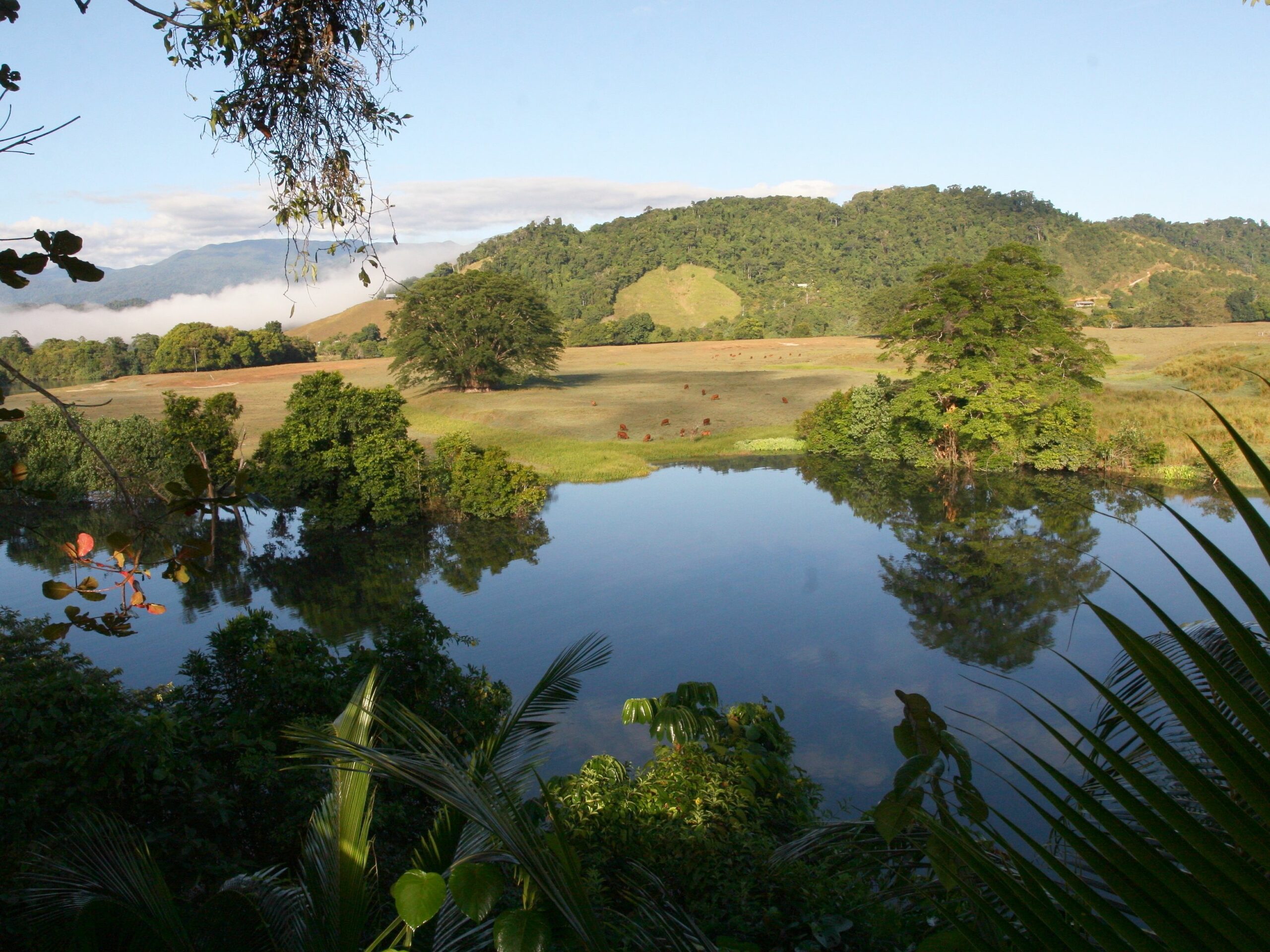 Daintree Village Bed and Breakfast