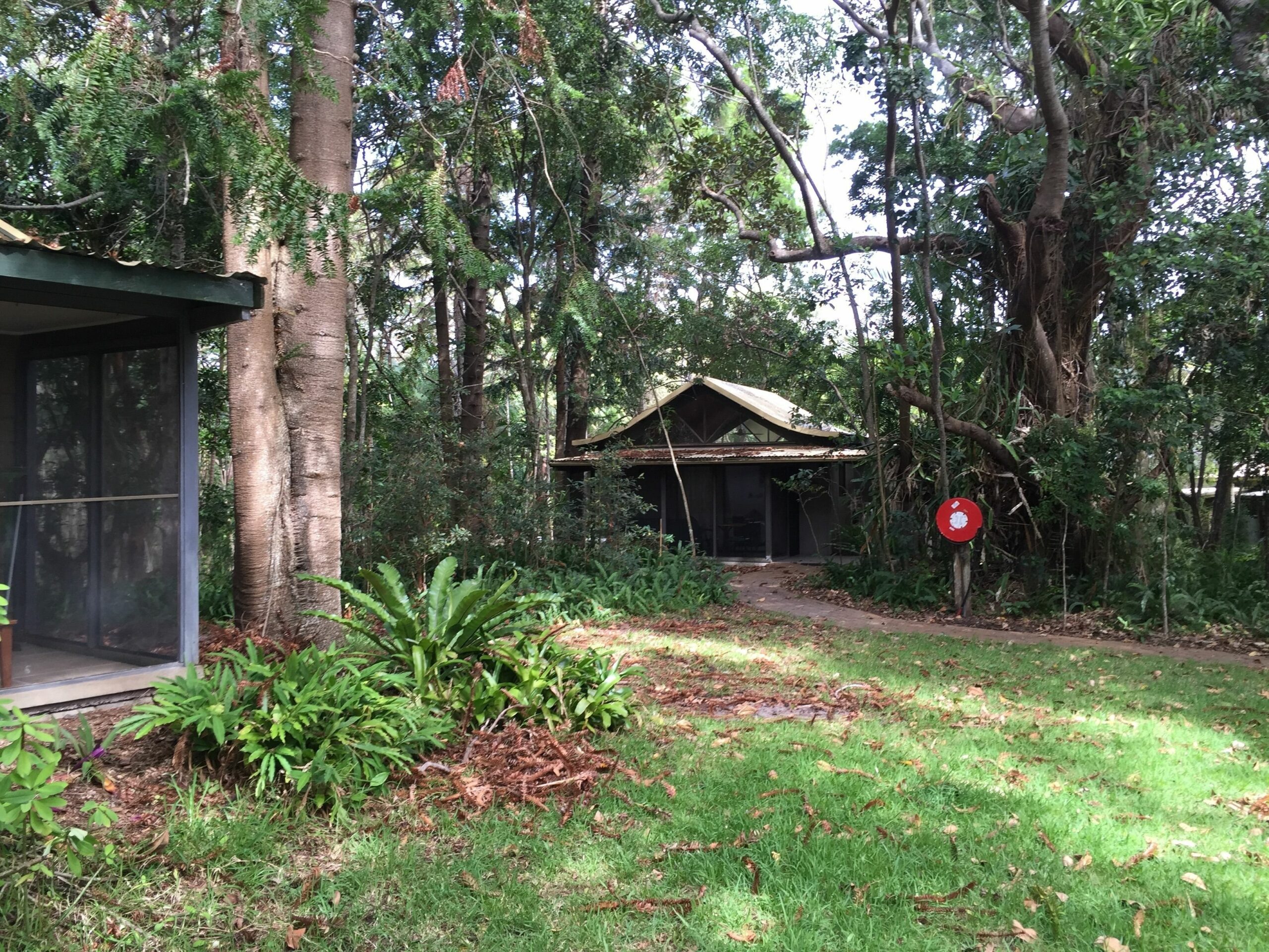 Byron Bay Rainforest Resort