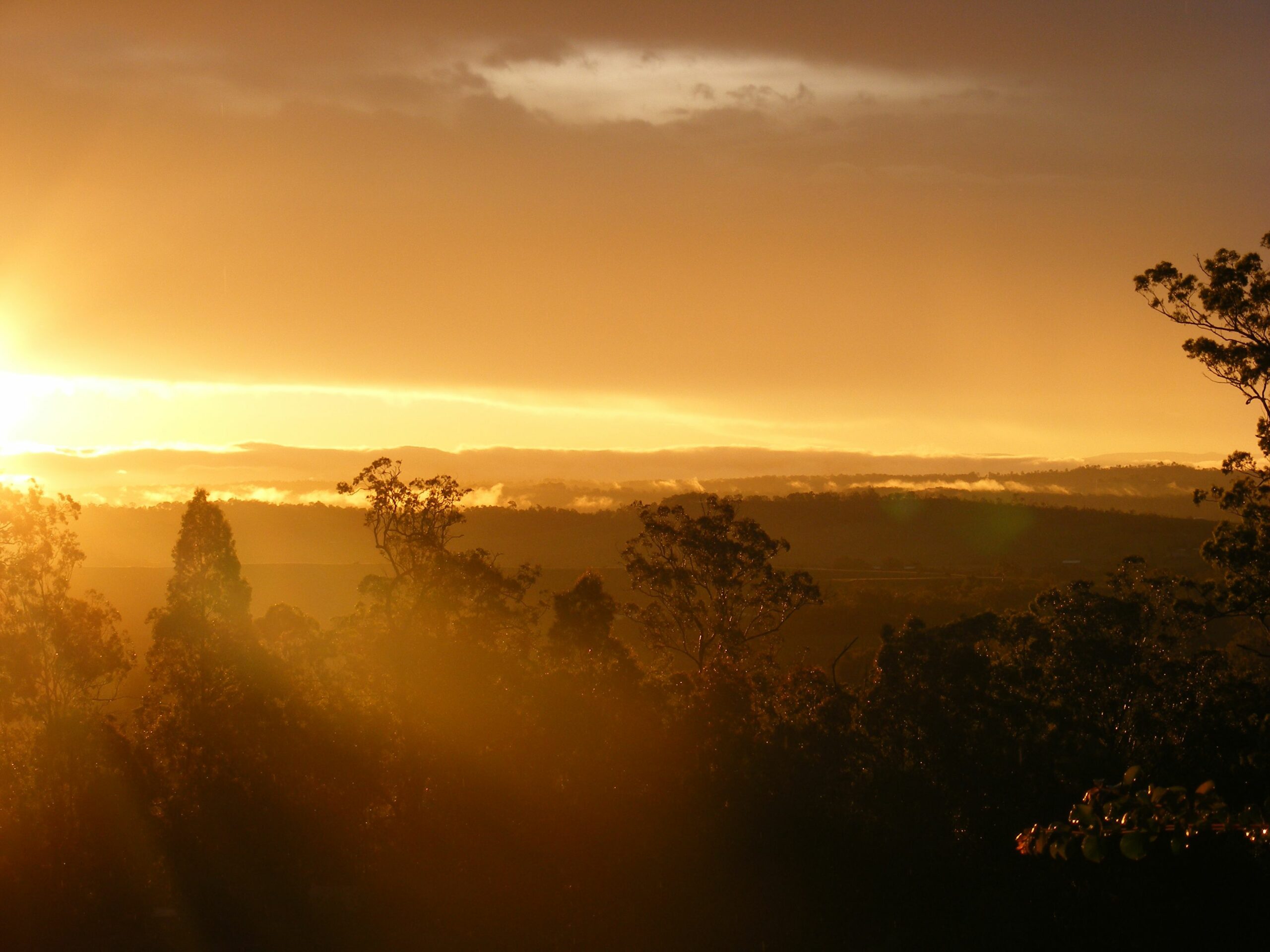 Wallaby Ridge Retreat