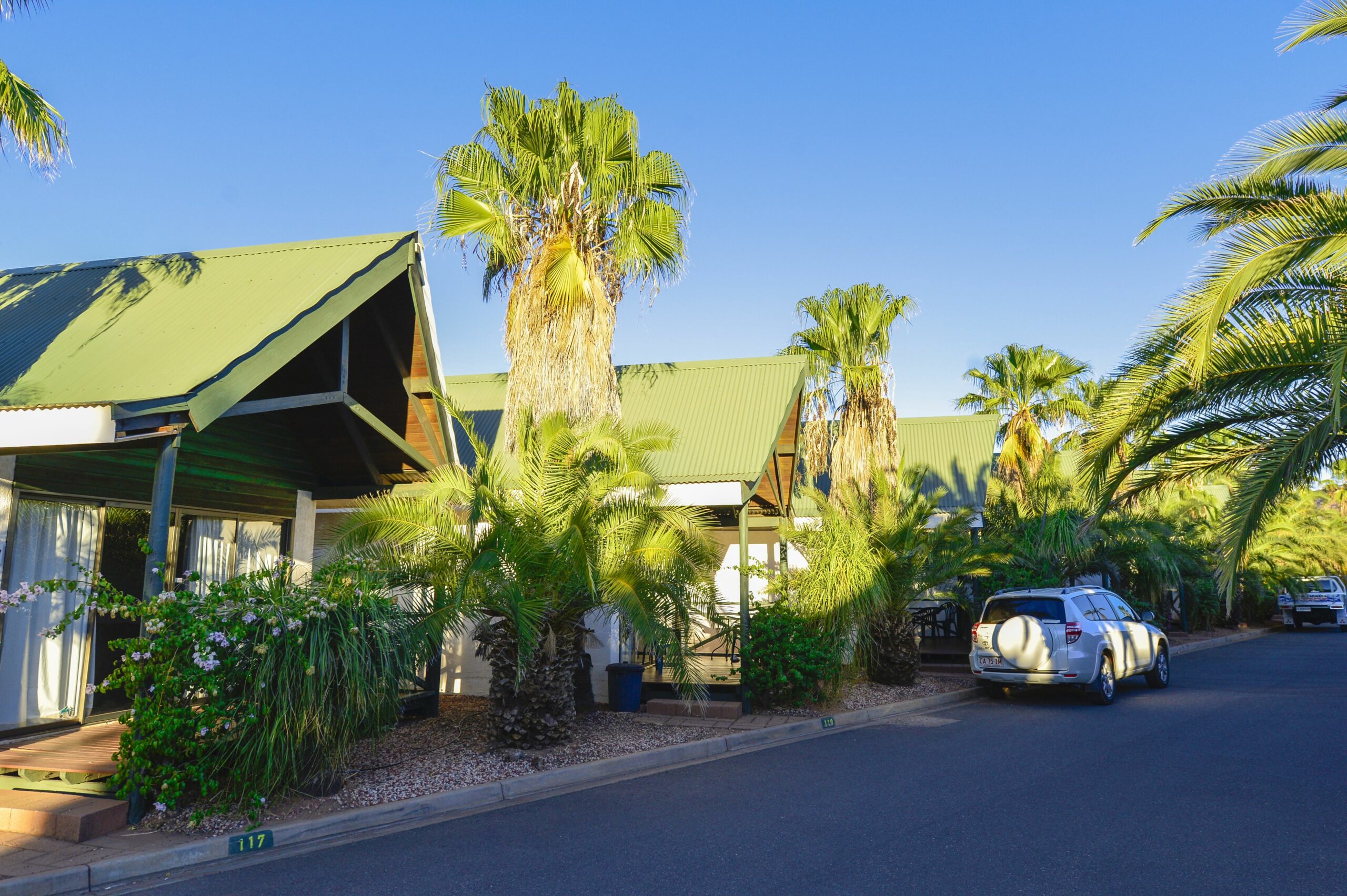 Desert Palms Alice Springs