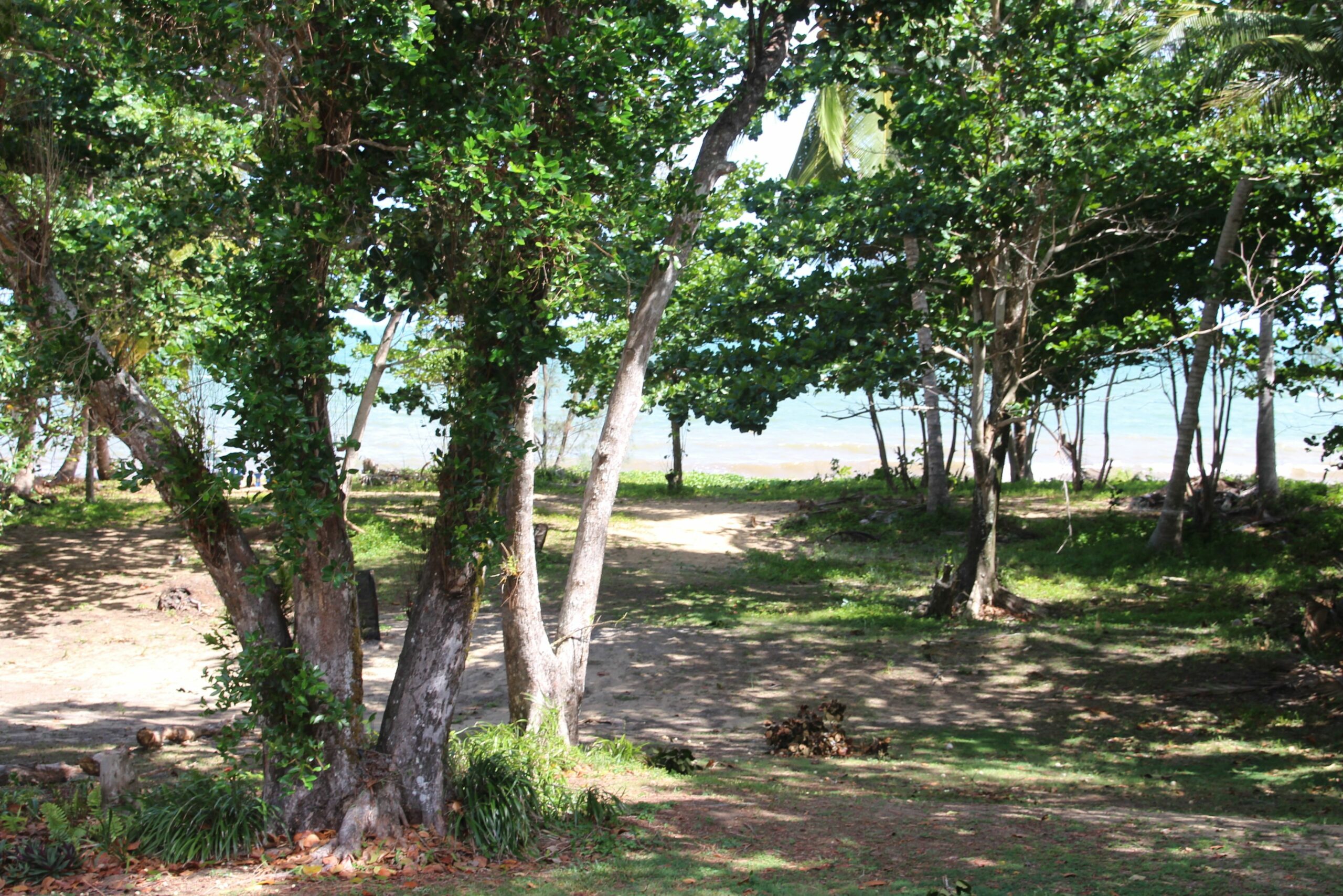 Kurrimine Beach Huts