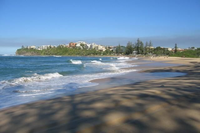 Raintrees on Moffat Beach