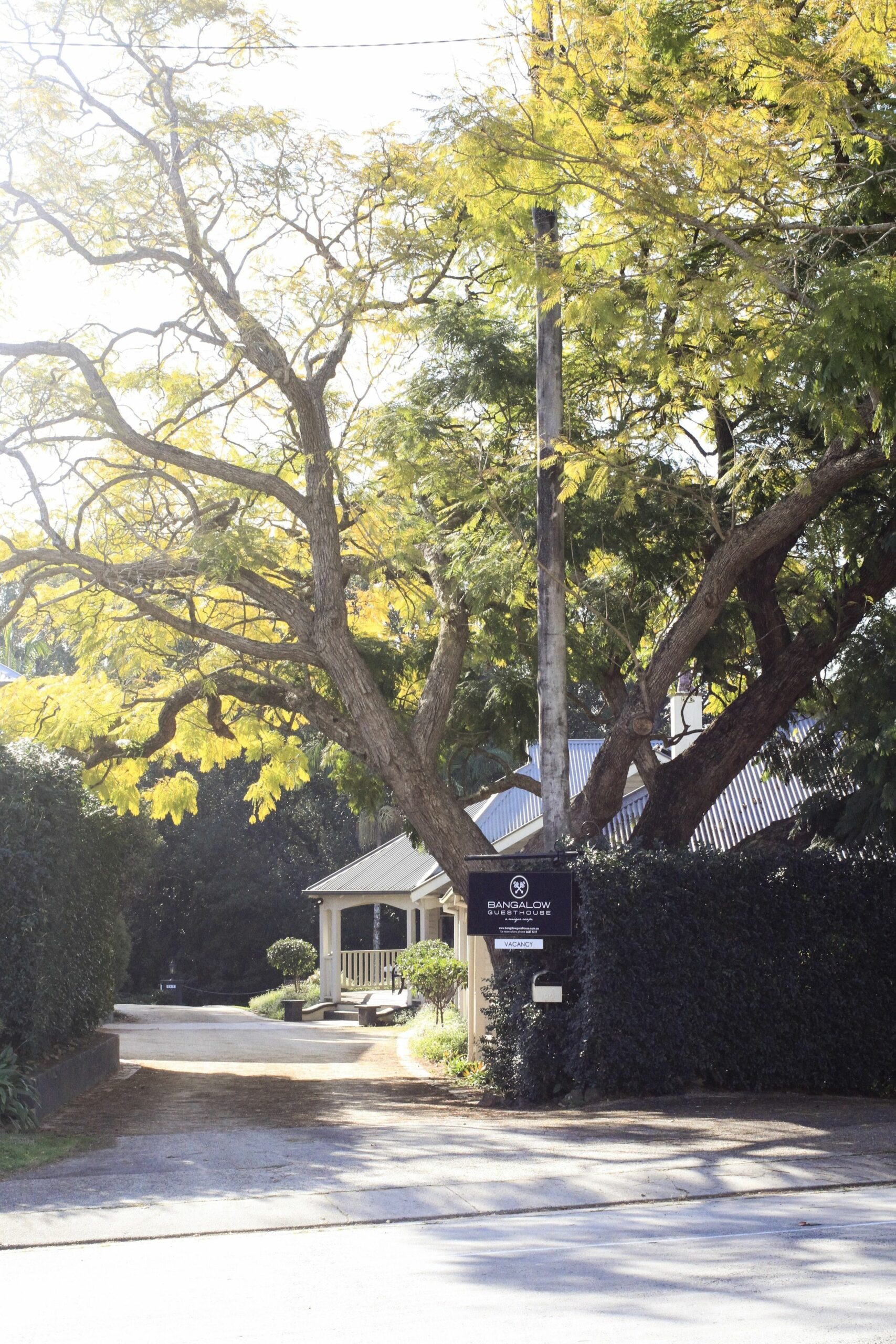 Bangalow Guesthouse